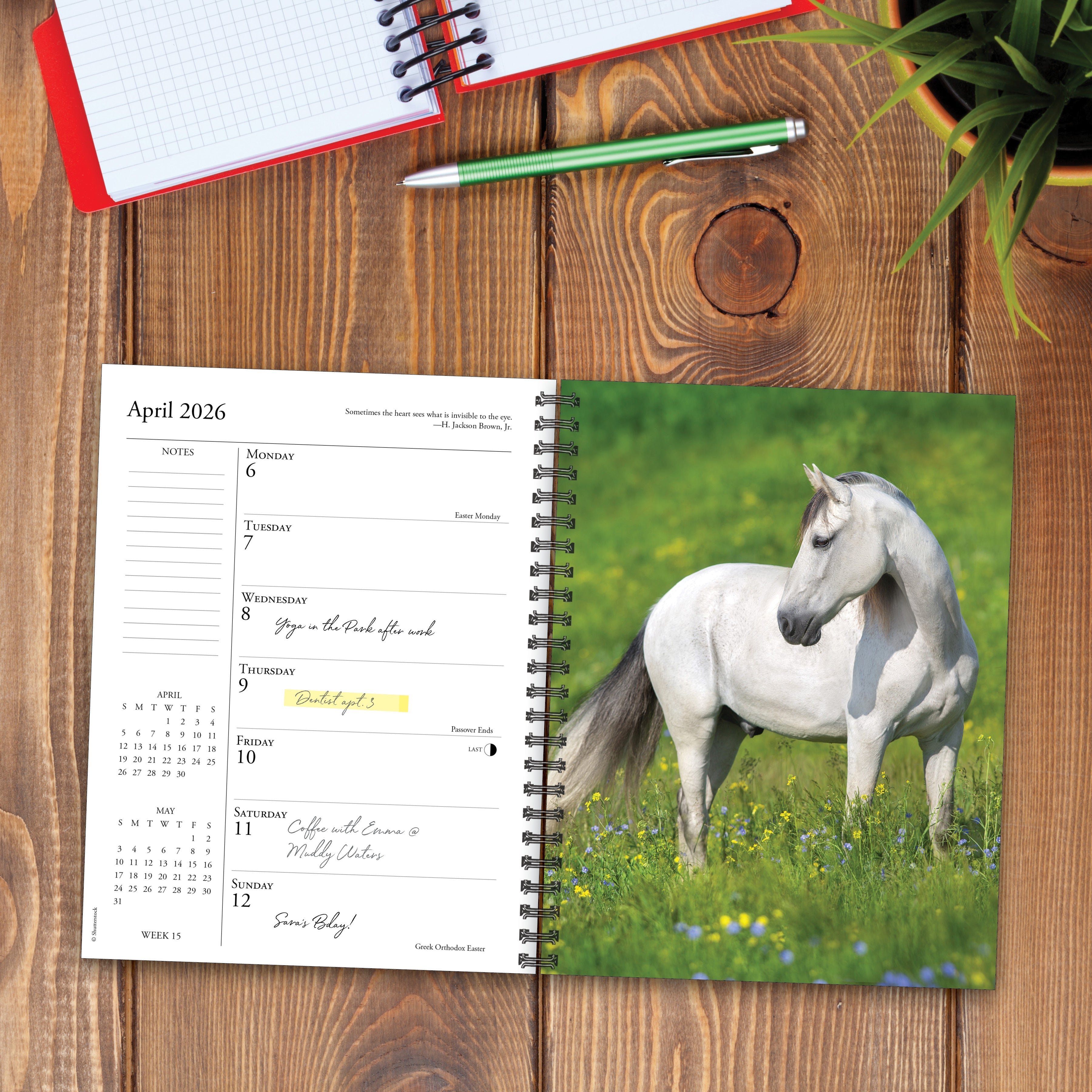 2026 What Horses Teach Us - Weekly Diary/Planner
