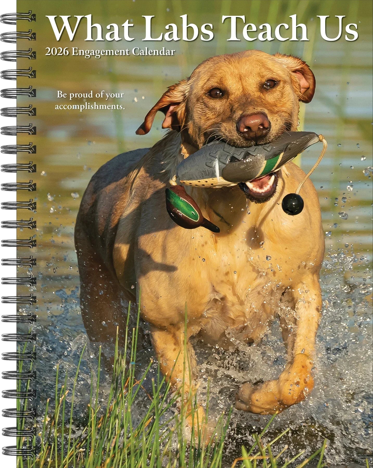 2026 What Labs Teach Us - Weekly Diary/Planner