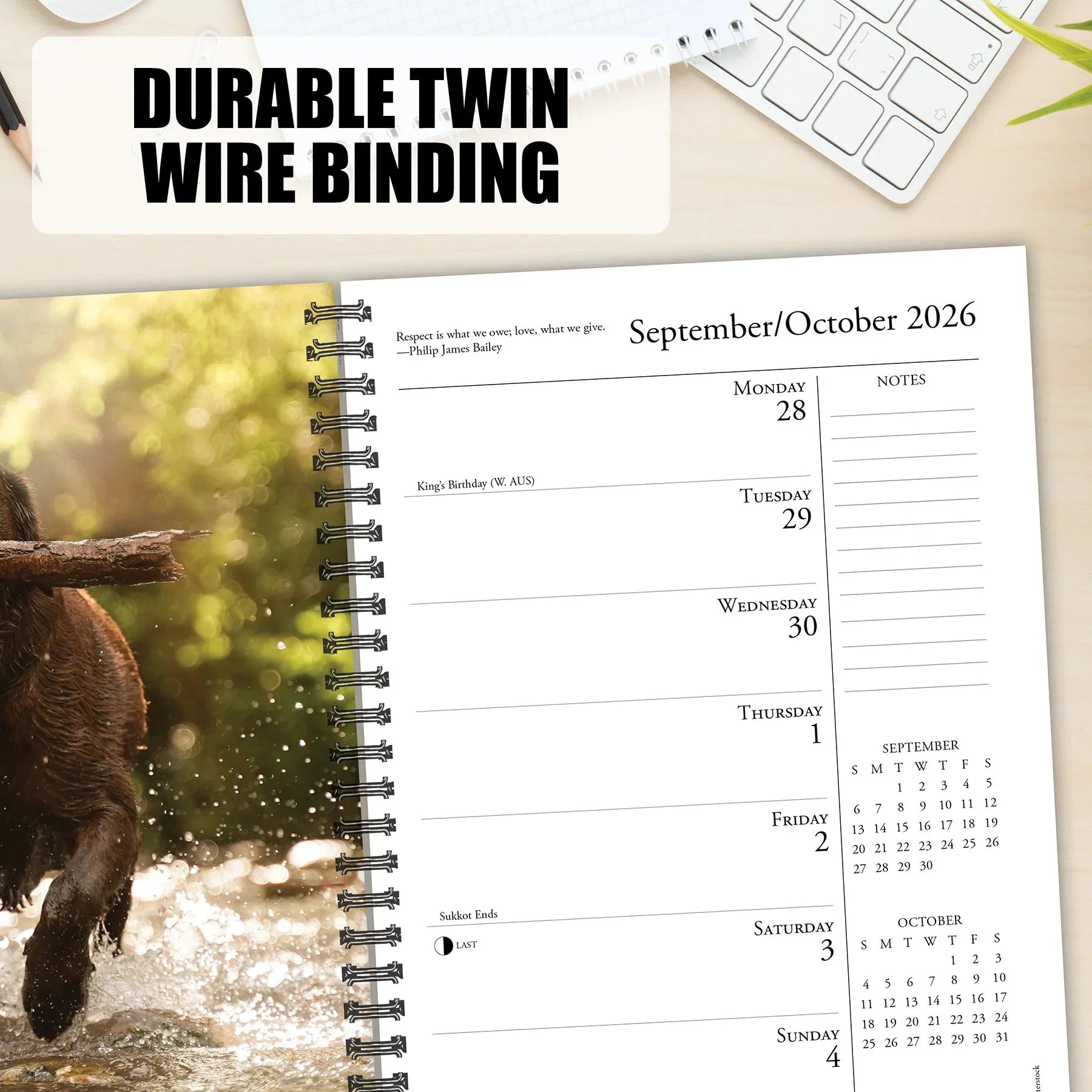 2026 What Labs Teach Us - Weekly Diary/Planner