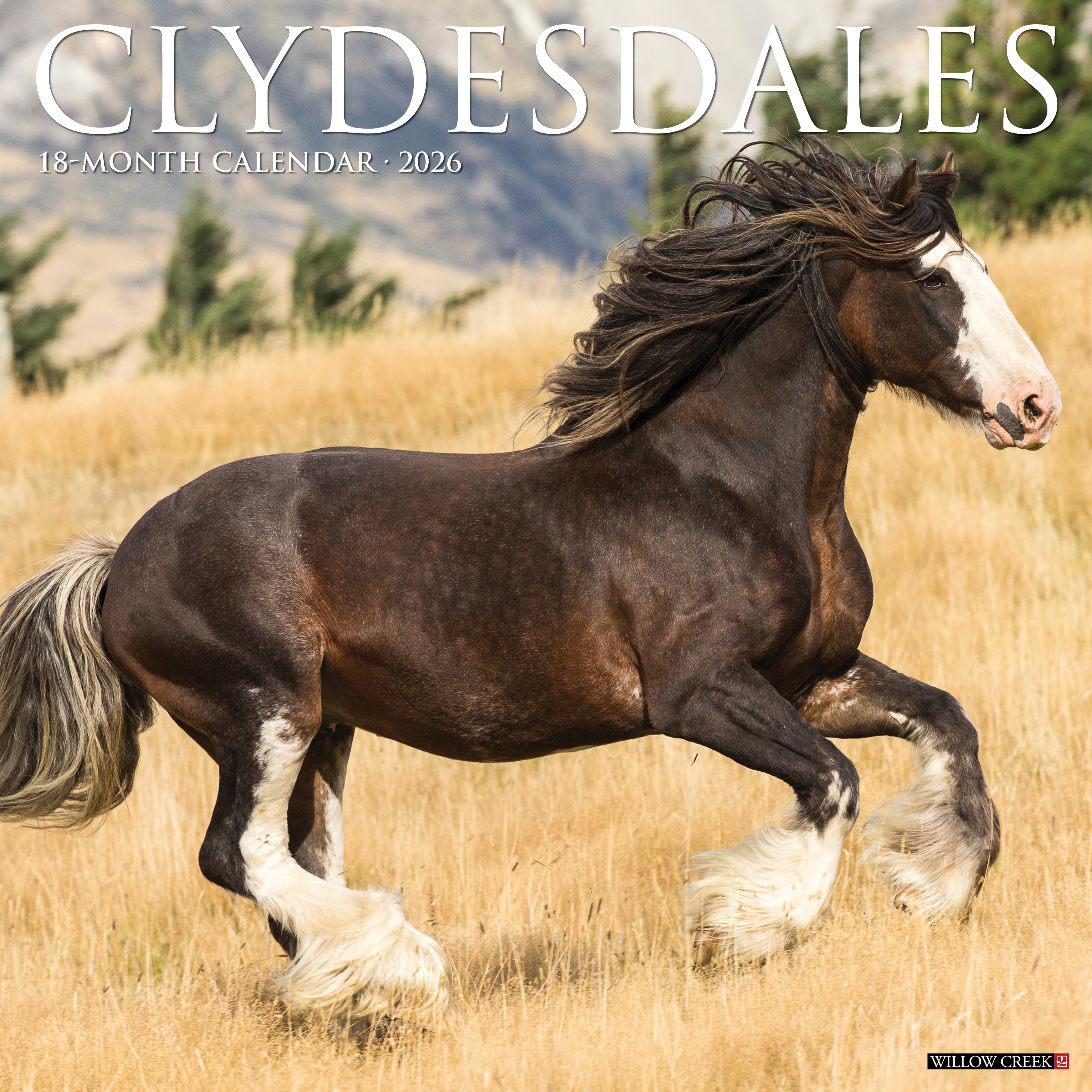 2026 Clydesdales - Square Wall