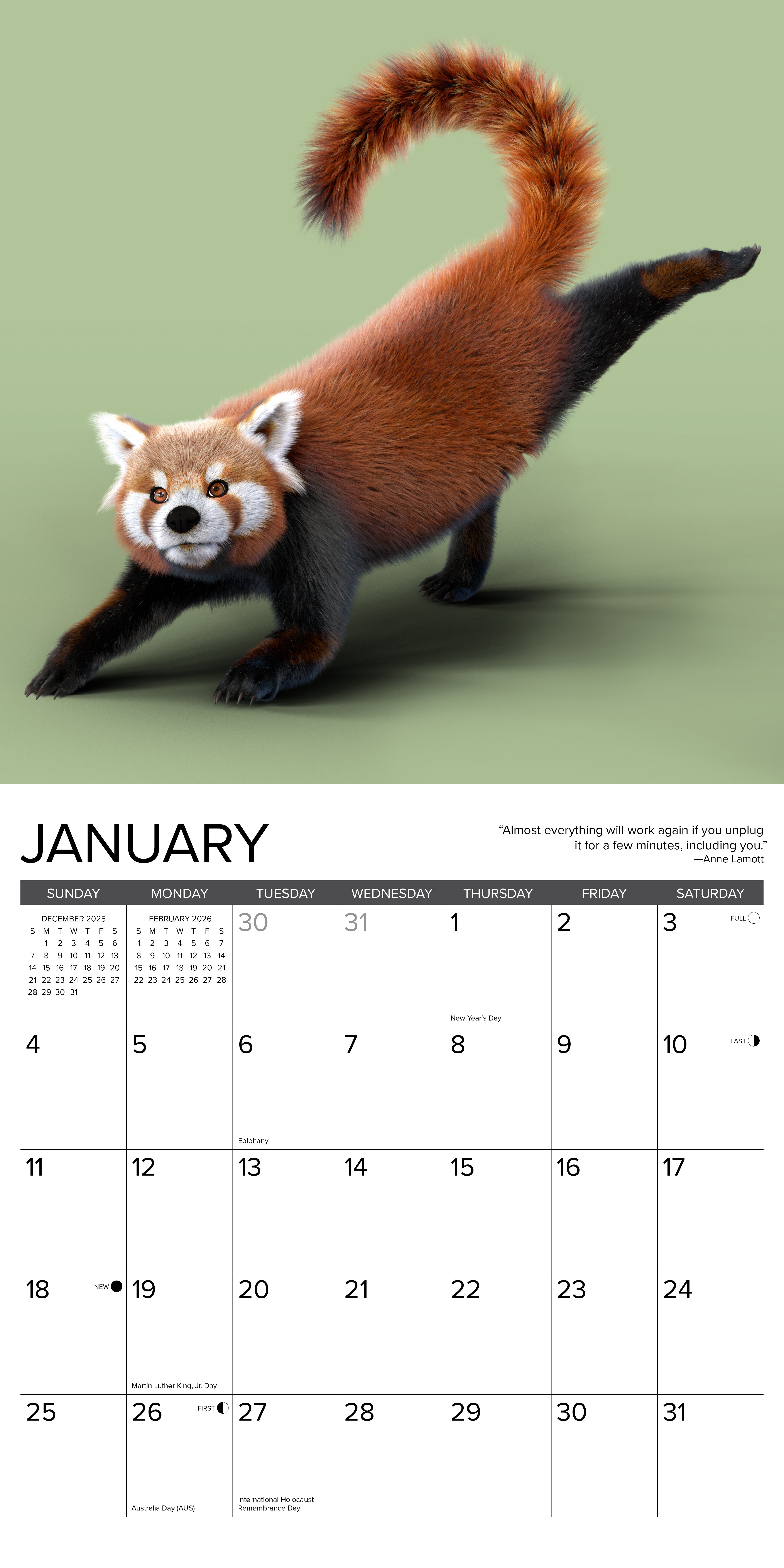 2026 Red Panda Yoga - Square Wall