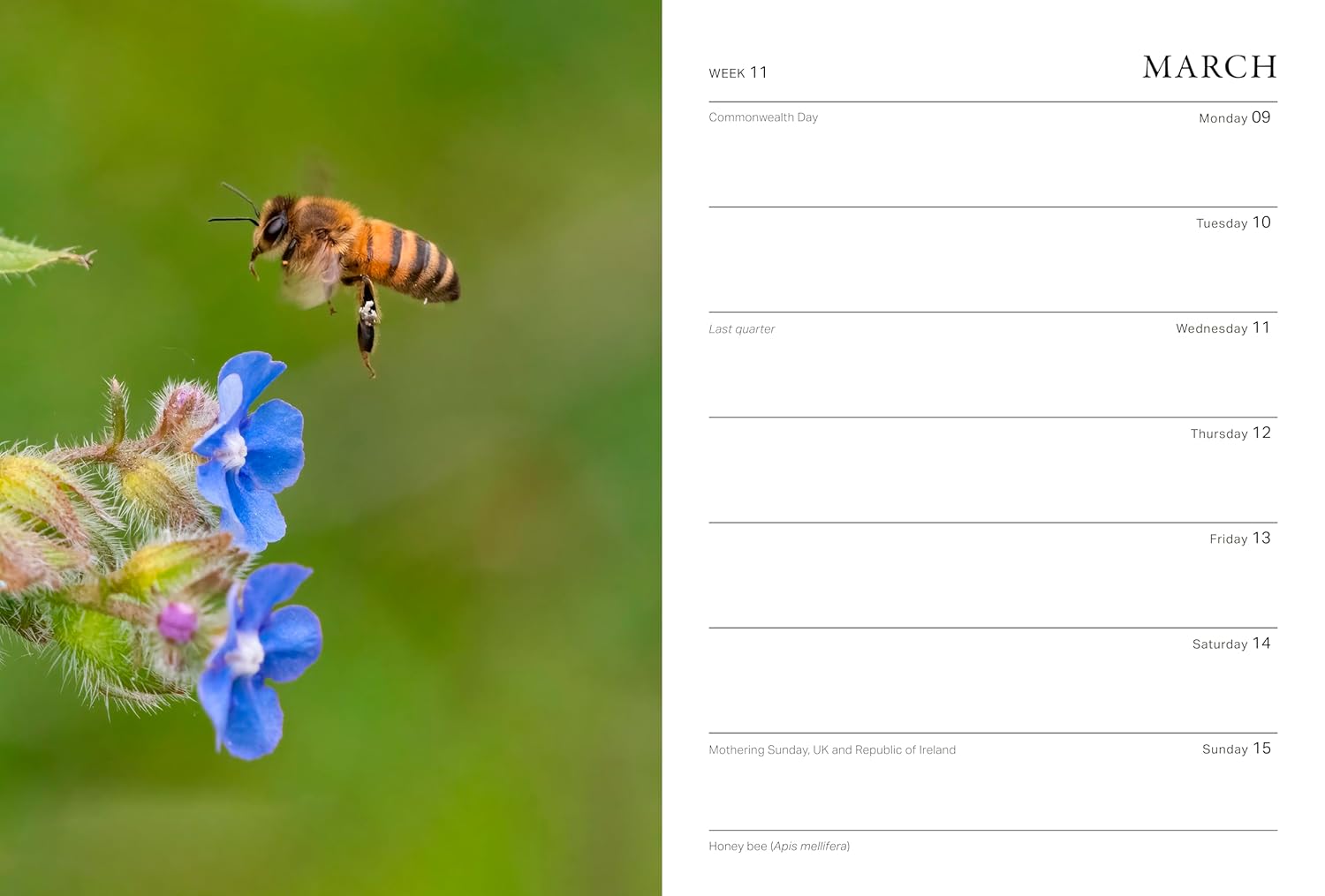 2026 RHS Wild In The Garden - Weekly Diary/Planner