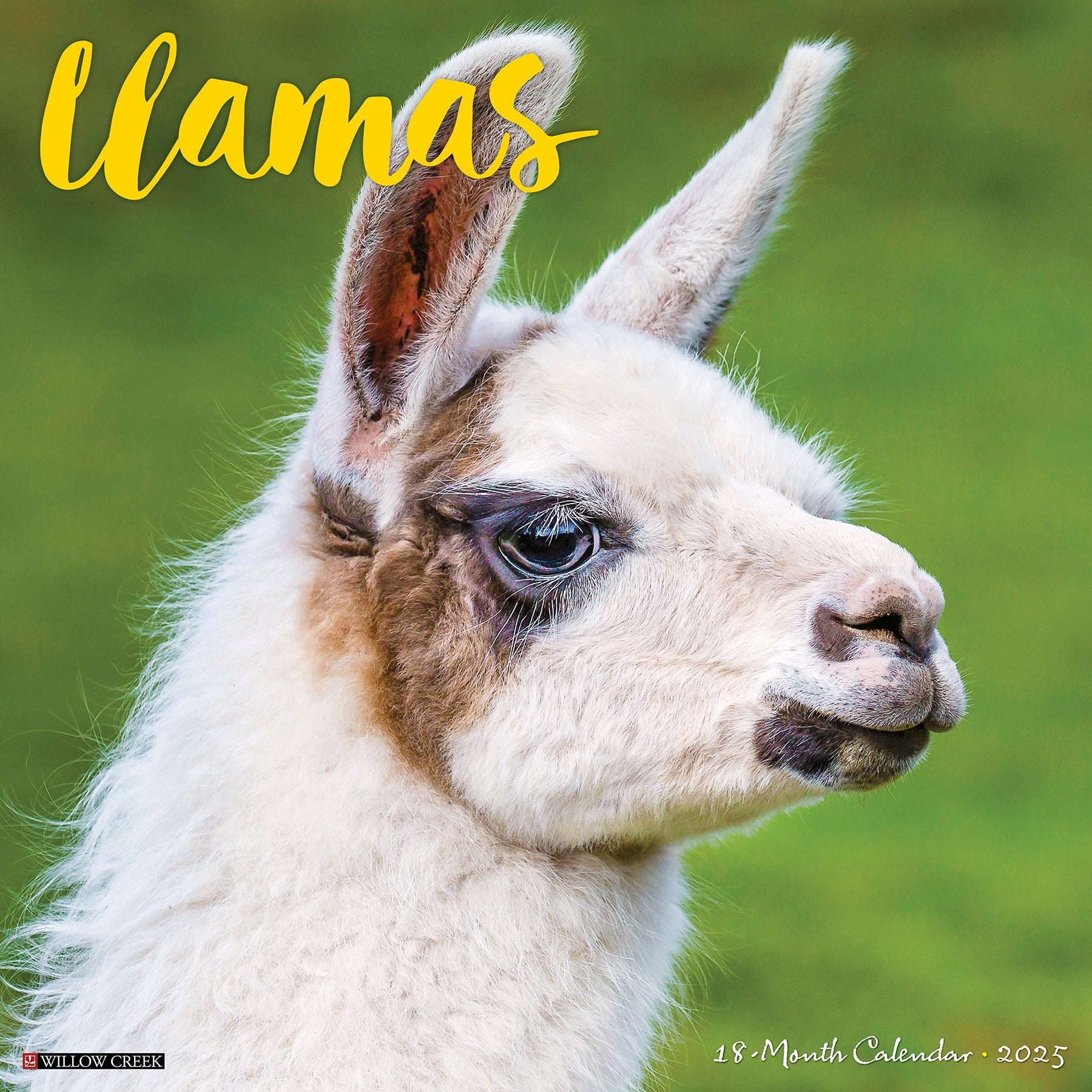 2025 Llamas Square Wall Calendar (US Only)