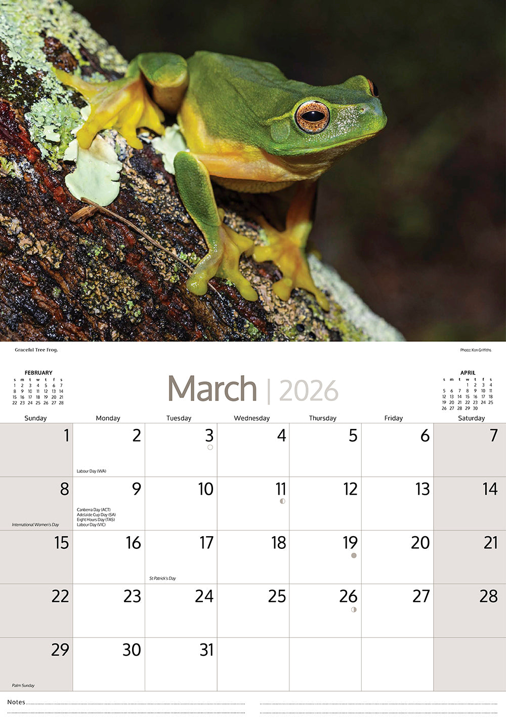 2026 Australian Wildlife - Horizontal Wall Calendar