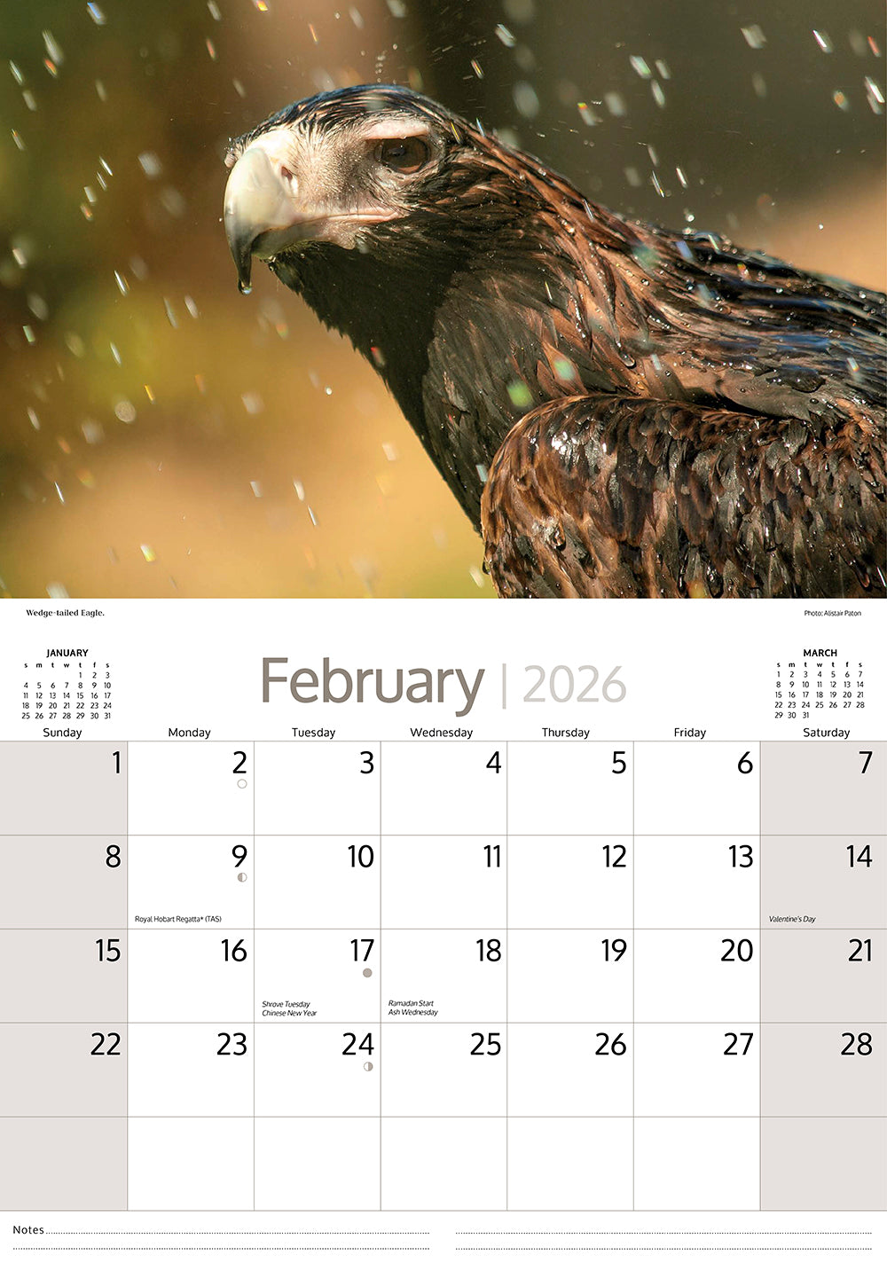 2026 Australian Birds - Horizontal Wall Calendar