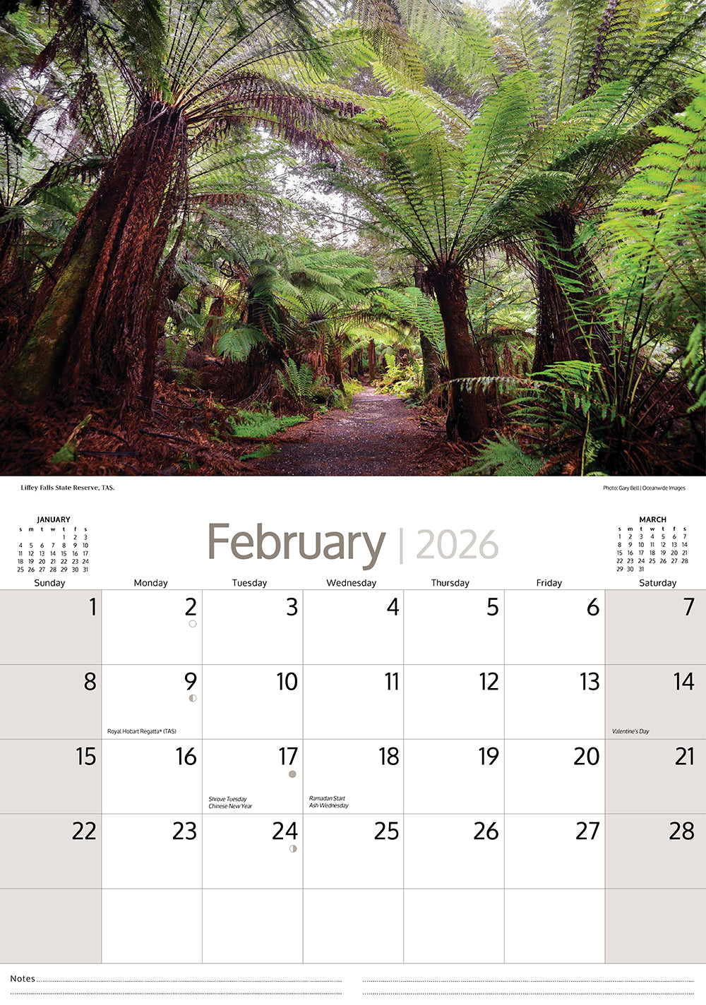 2026 Australian Rainforests - Horizontal Wall Calendar