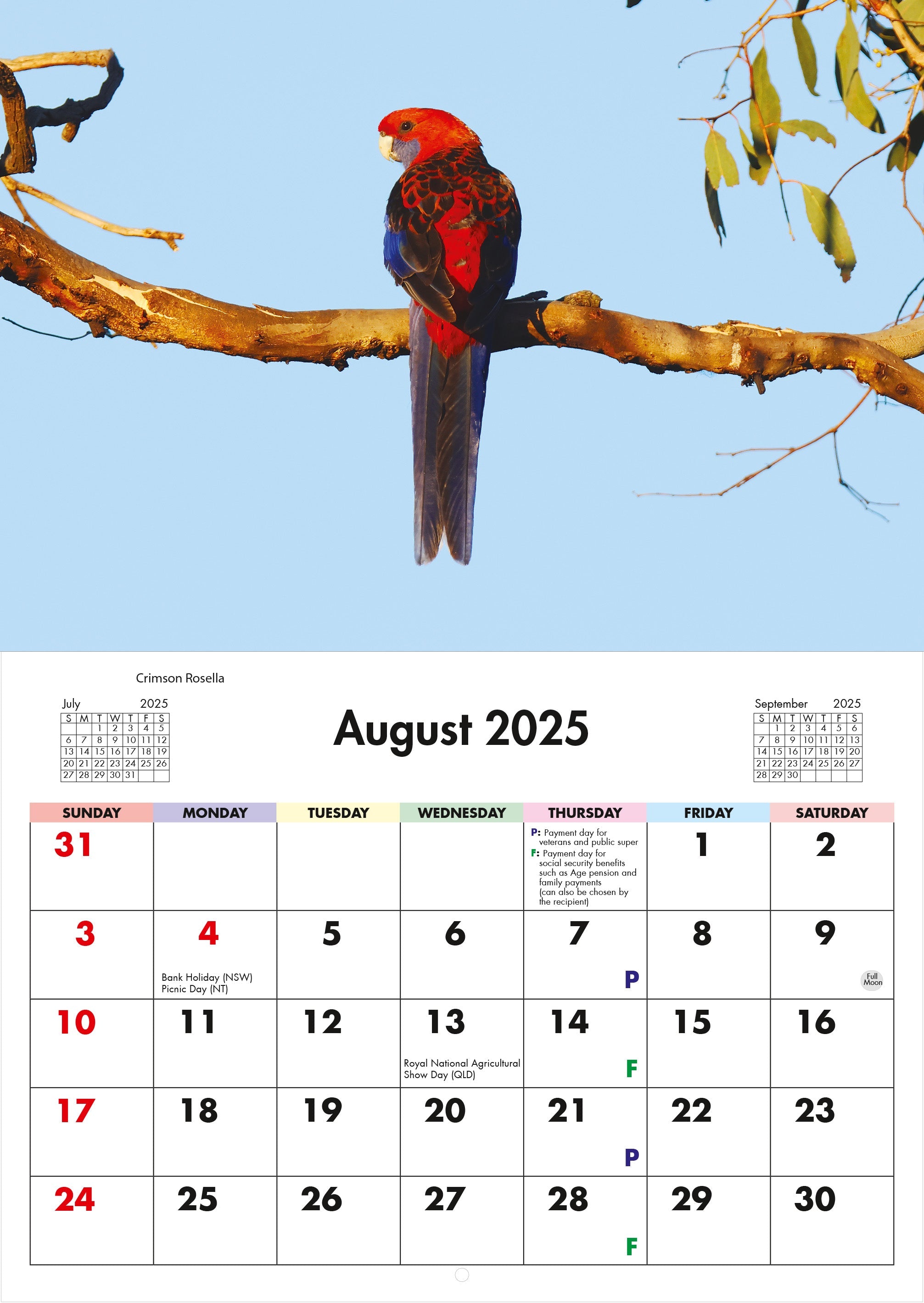 2026 Australian Birds - Horizontal Wall Calendar