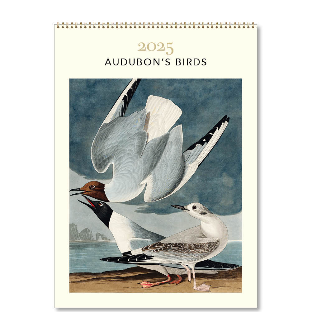 Audubon Desk Calendar 2025 