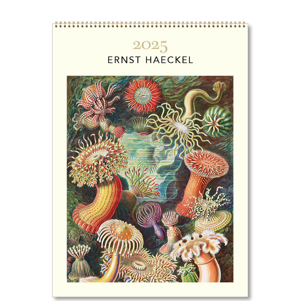 2025 Ernst Haeckel Deluxe Wall Calendar