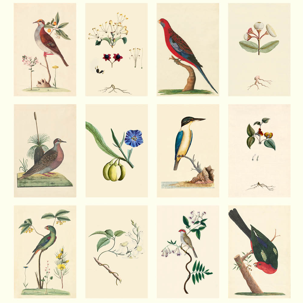 2026 First Fleet Art - Desk Easel Calendar