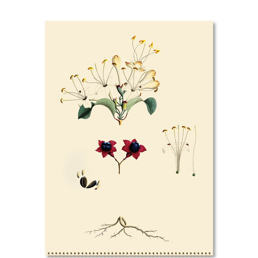 2026 First Fleet Art - Deluxe Wall Calendar