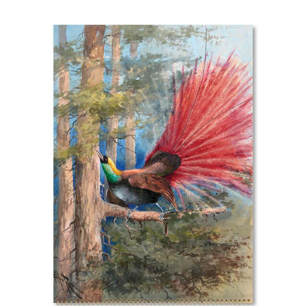 2026 Ellis Rowan Birds - Australian Artist - Deluxe Wall Calendar