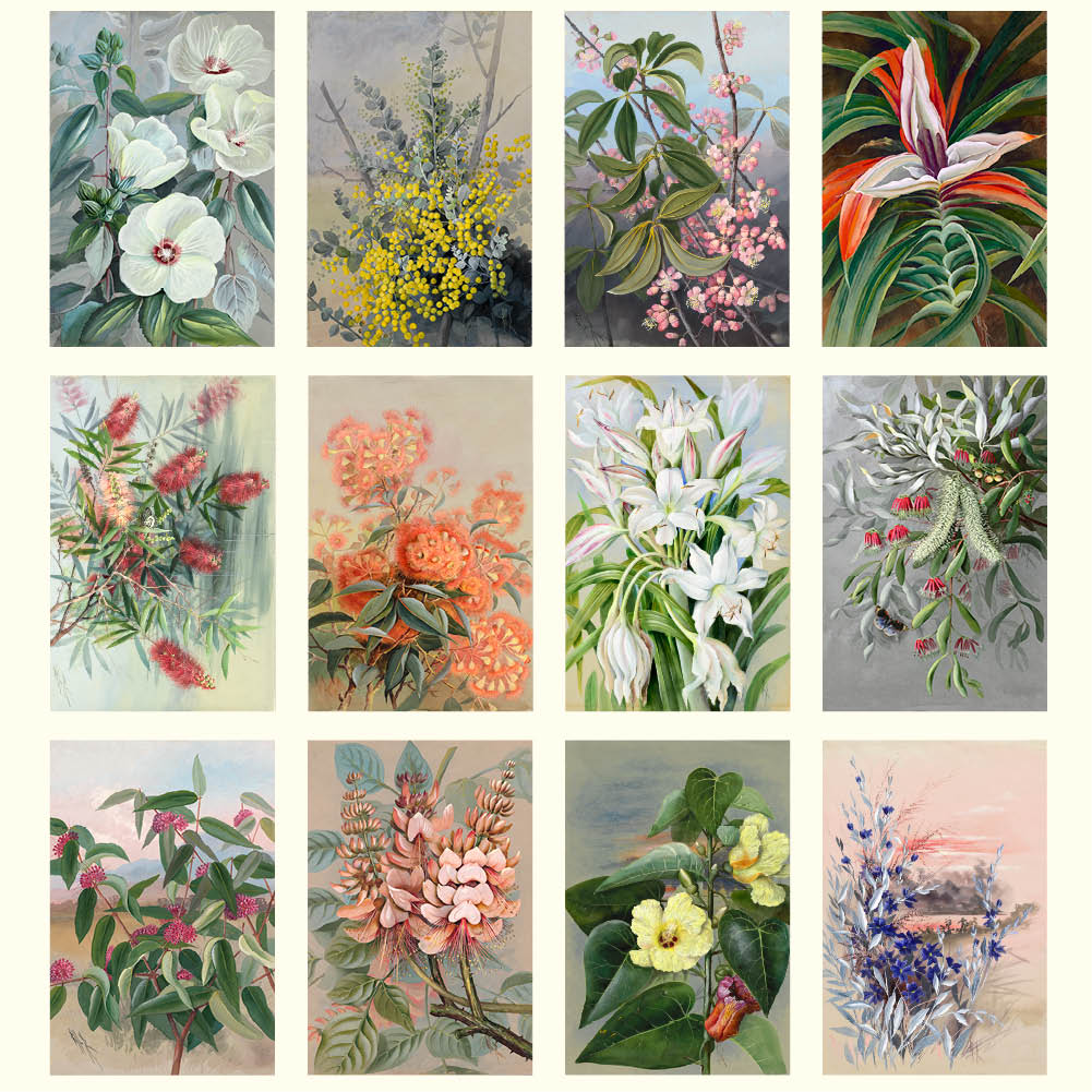 2026 Ellis Rowan Flowers - Australian Artist - Deluxe Wall Calendar