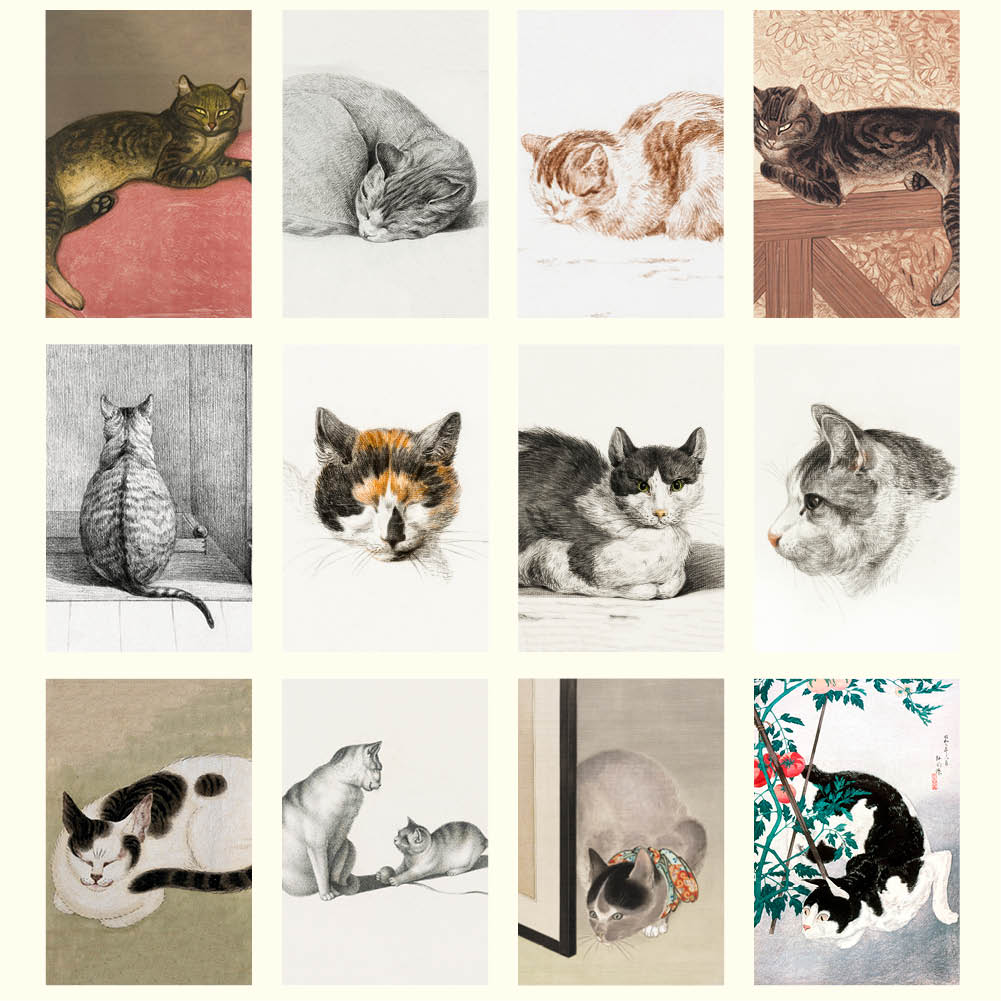 2026 Cat Drawings - Deluxe Wall Calendar