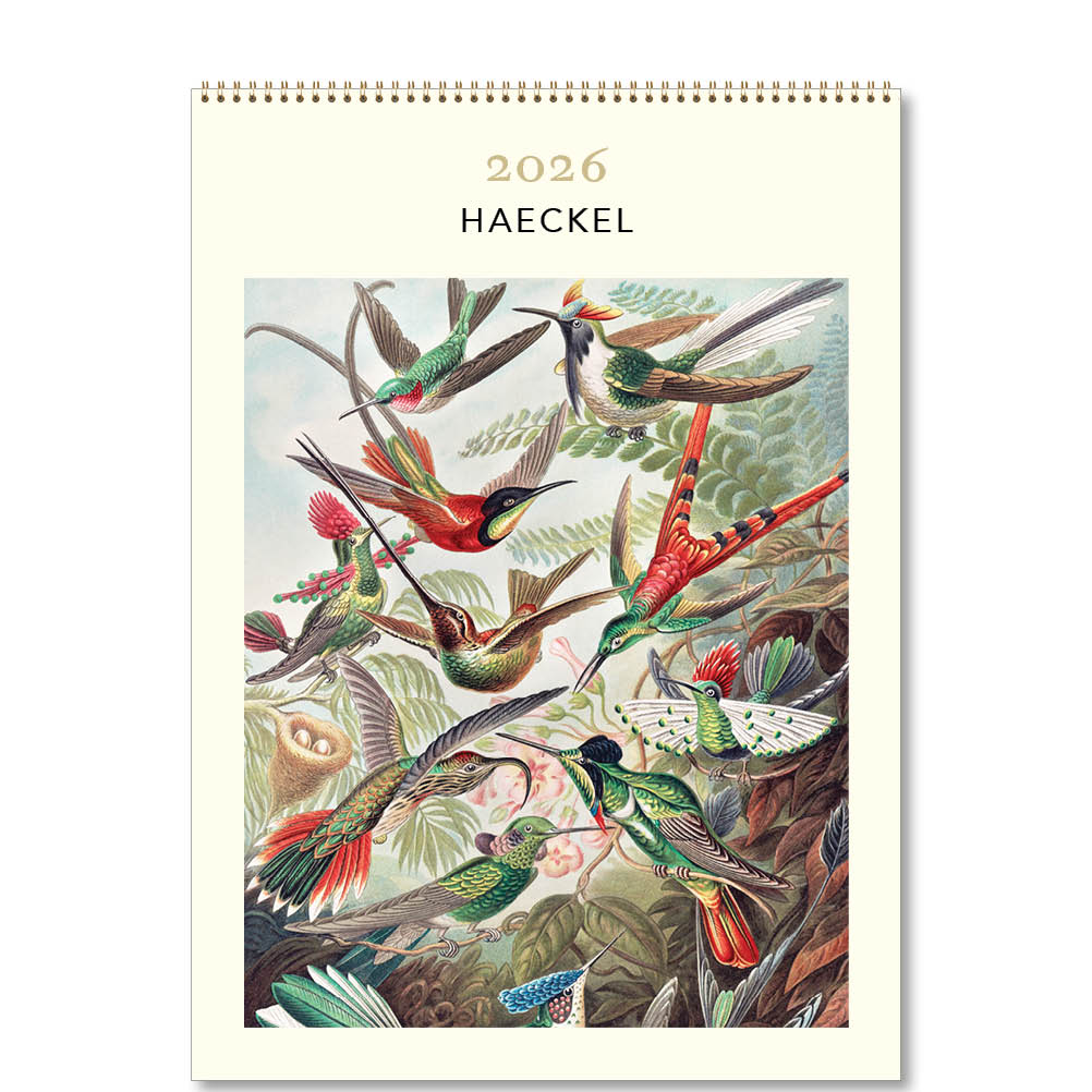 2026 Haeckel - Deluxe Wall Calendar