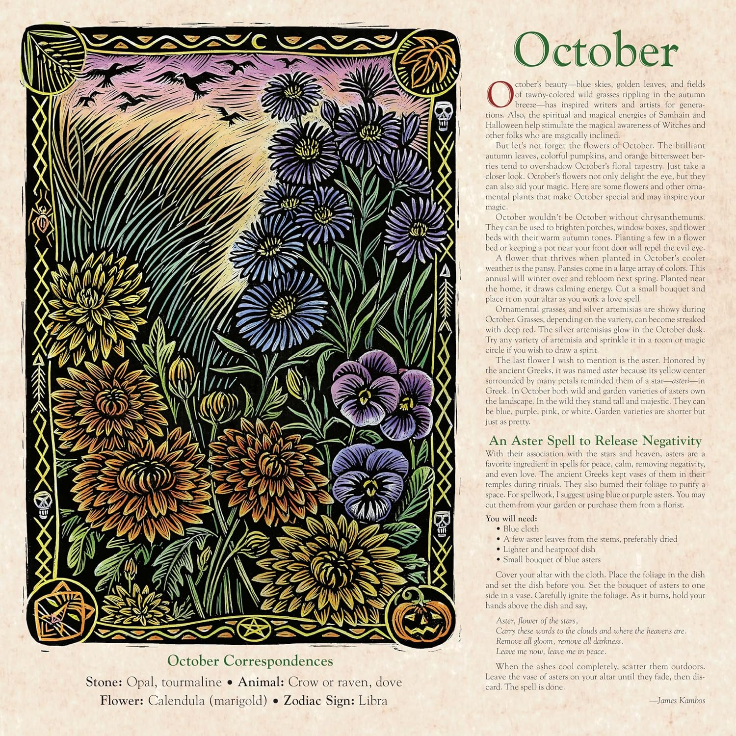 2027 Llewellyn's Witches' - Square Wall Calendar
