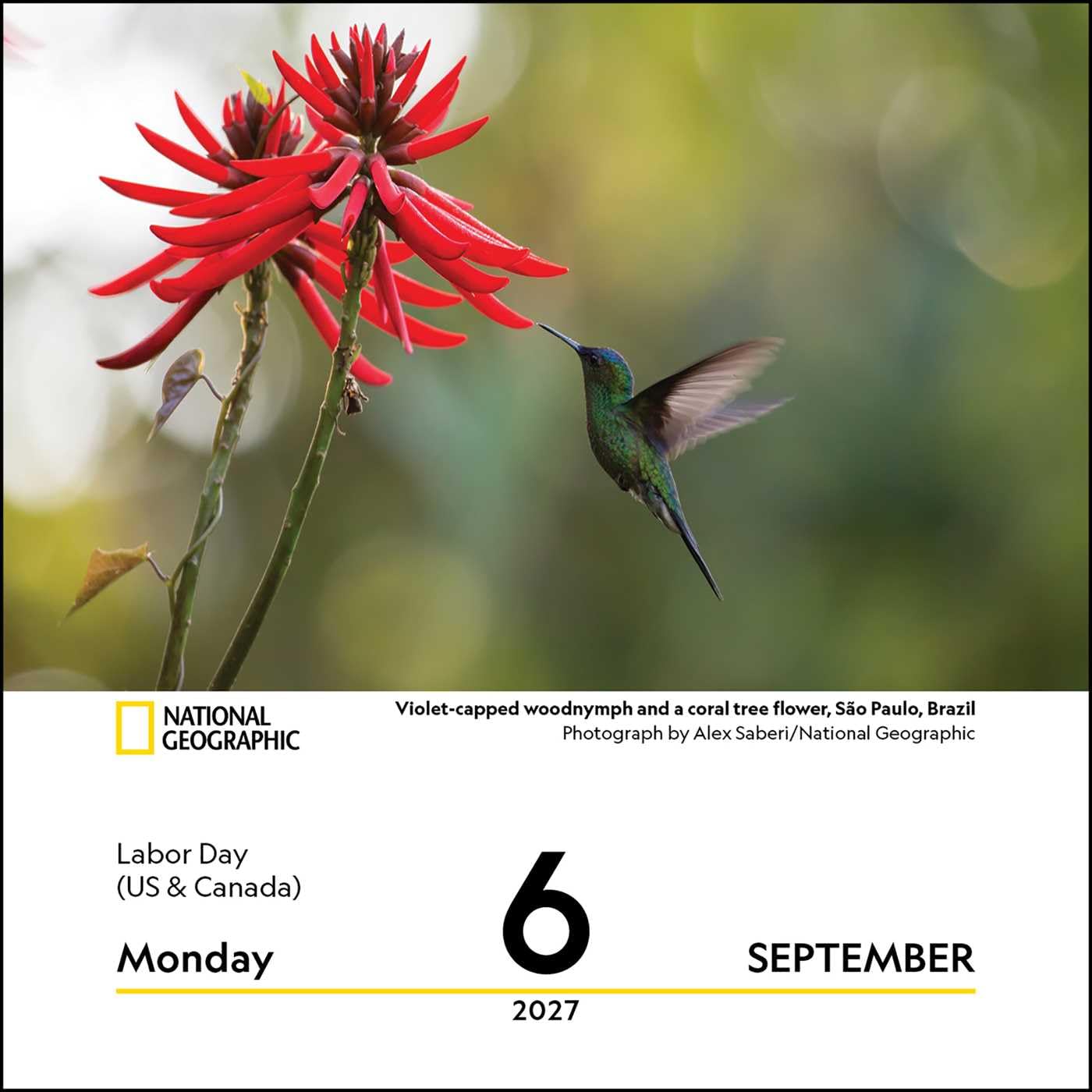 2027 Nature: Nat Geo - Daily Boxed Page-A-Day Calendar