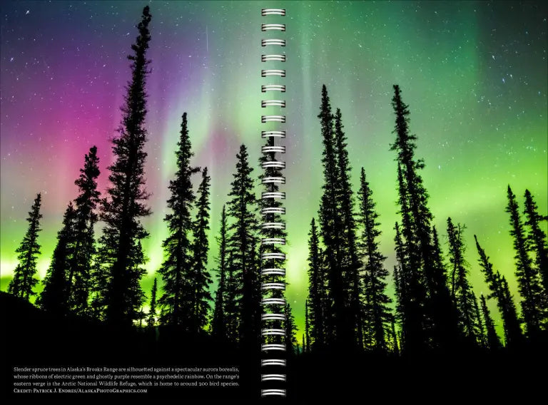 2027 Audubon Engagement - Weekly Diary/Planner