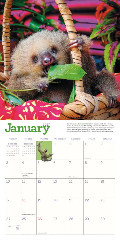 2027 Original Sloths - Square Wall Calendar
