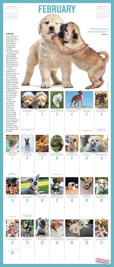 2027 365 Puppies-A-Year Picture-A-Day - Deluxe Wall Calendar