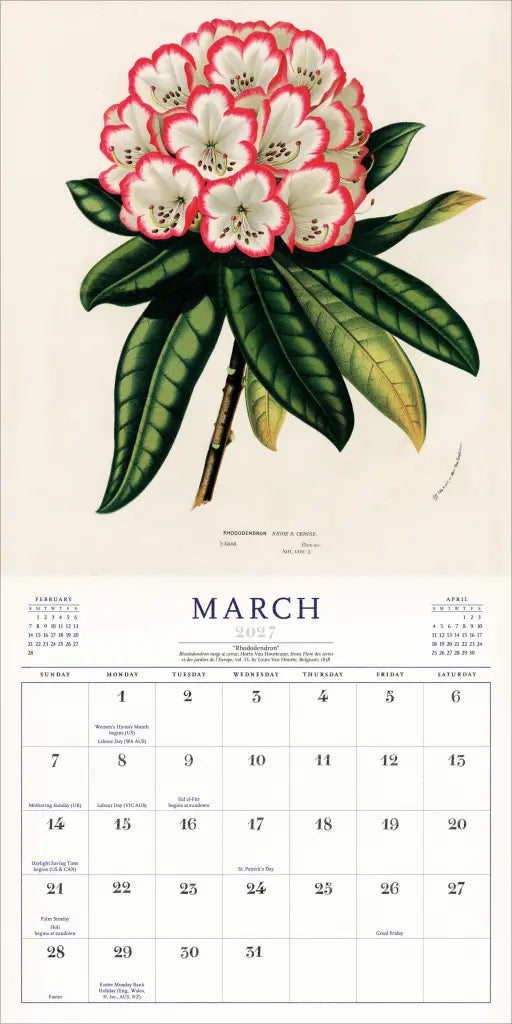 2027 World of John Derian - Square Wall Calendar