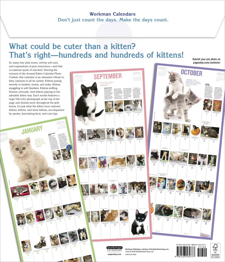 2027 365 Kittens-A-Year Picture-A-Day - Deluxe Wall Calendar