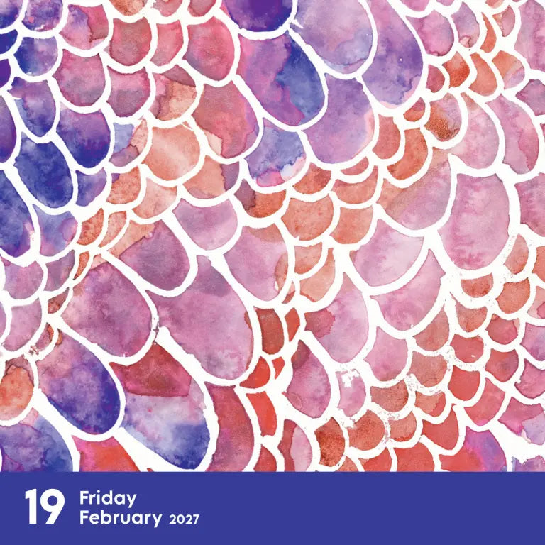 2027 Reverse Coloring - Daily Boxed Page-A-Day Calendar