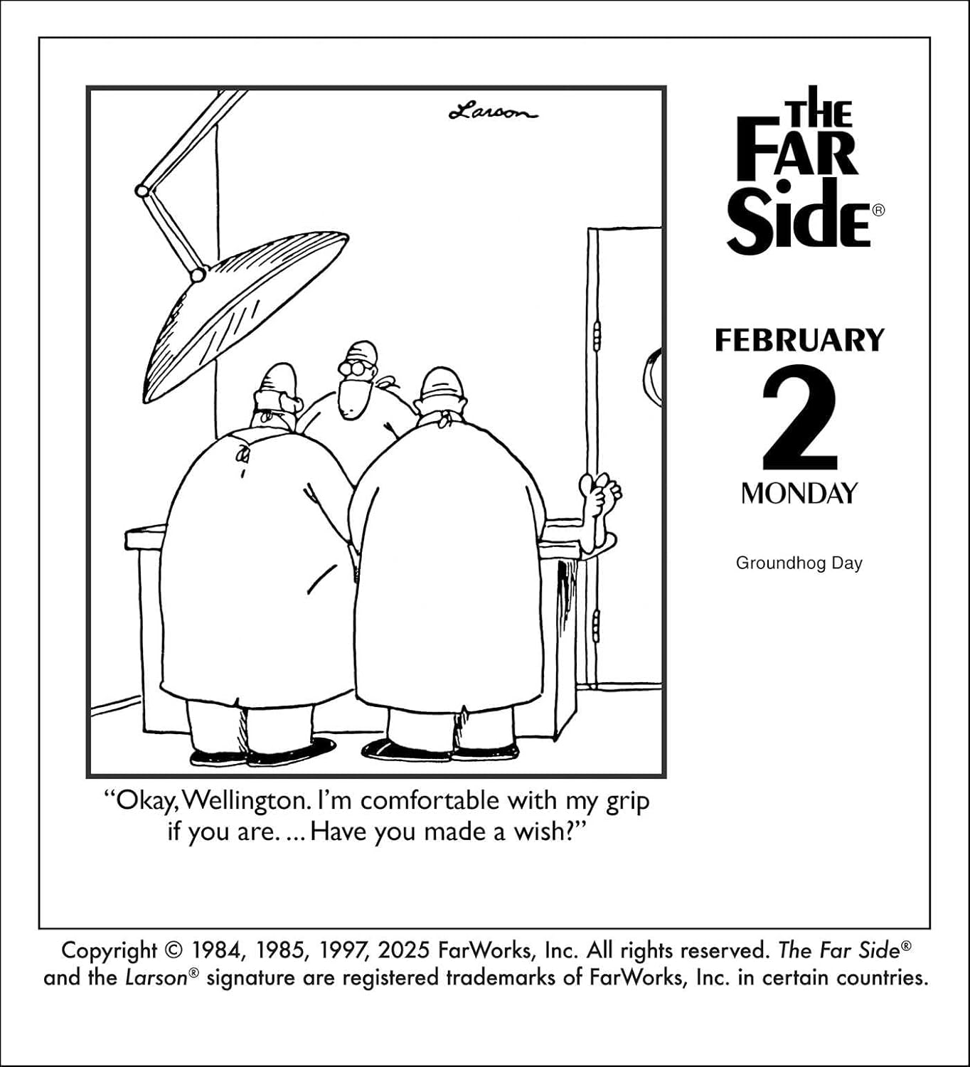 2026 Far Side Off-the-Wall - Boxed Page-A-Day