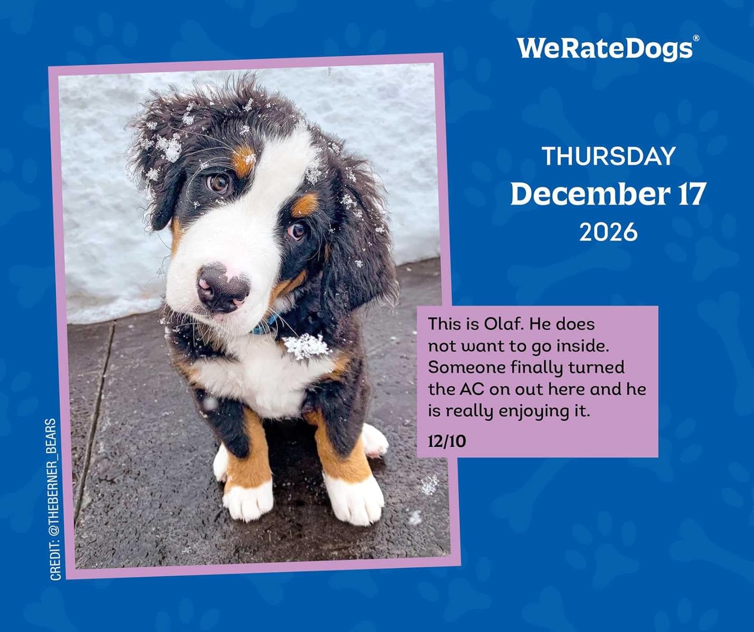 2026 WeRateDogs - Boxed Page-A-Day