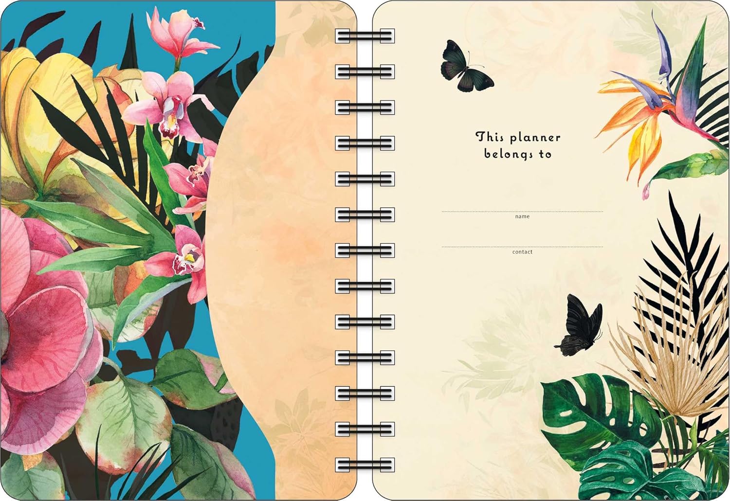 2026 For the Love of Frida - Monthly & Weekly Diary/Planner