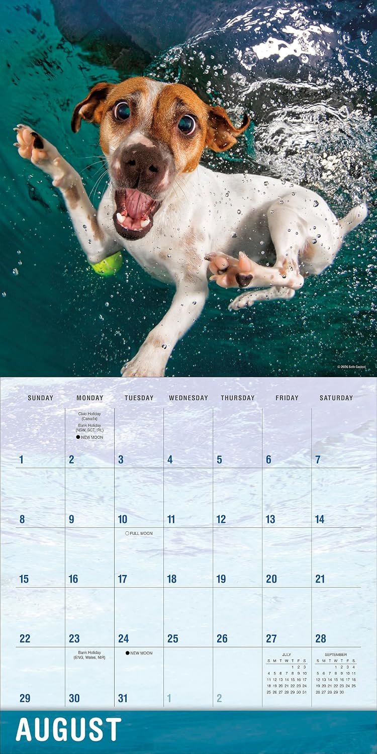 2027 Underwater Dogs: Seth Casteel - Square Wall Calendar