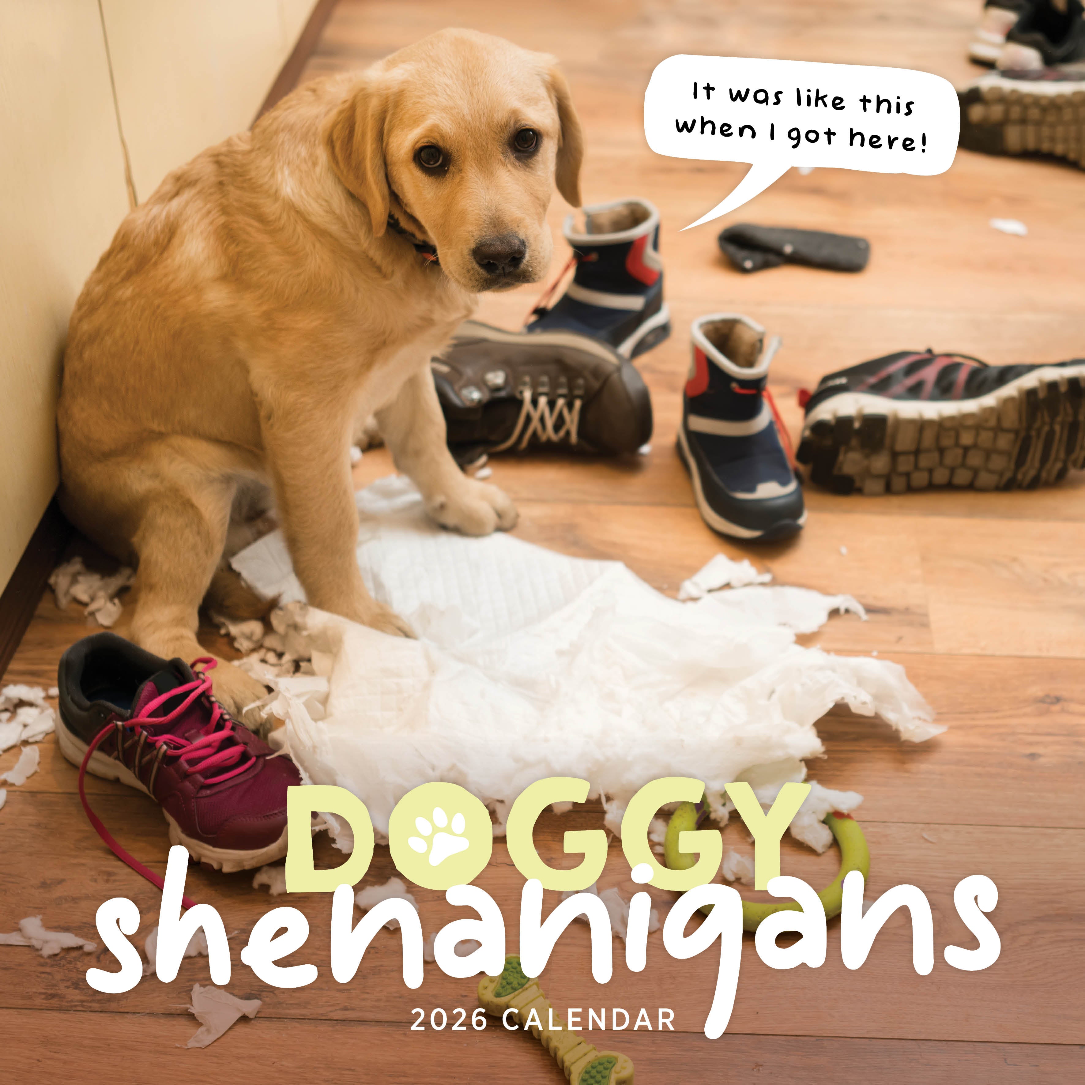 2026 Doggy Shenanigans - Square Wall Calendar