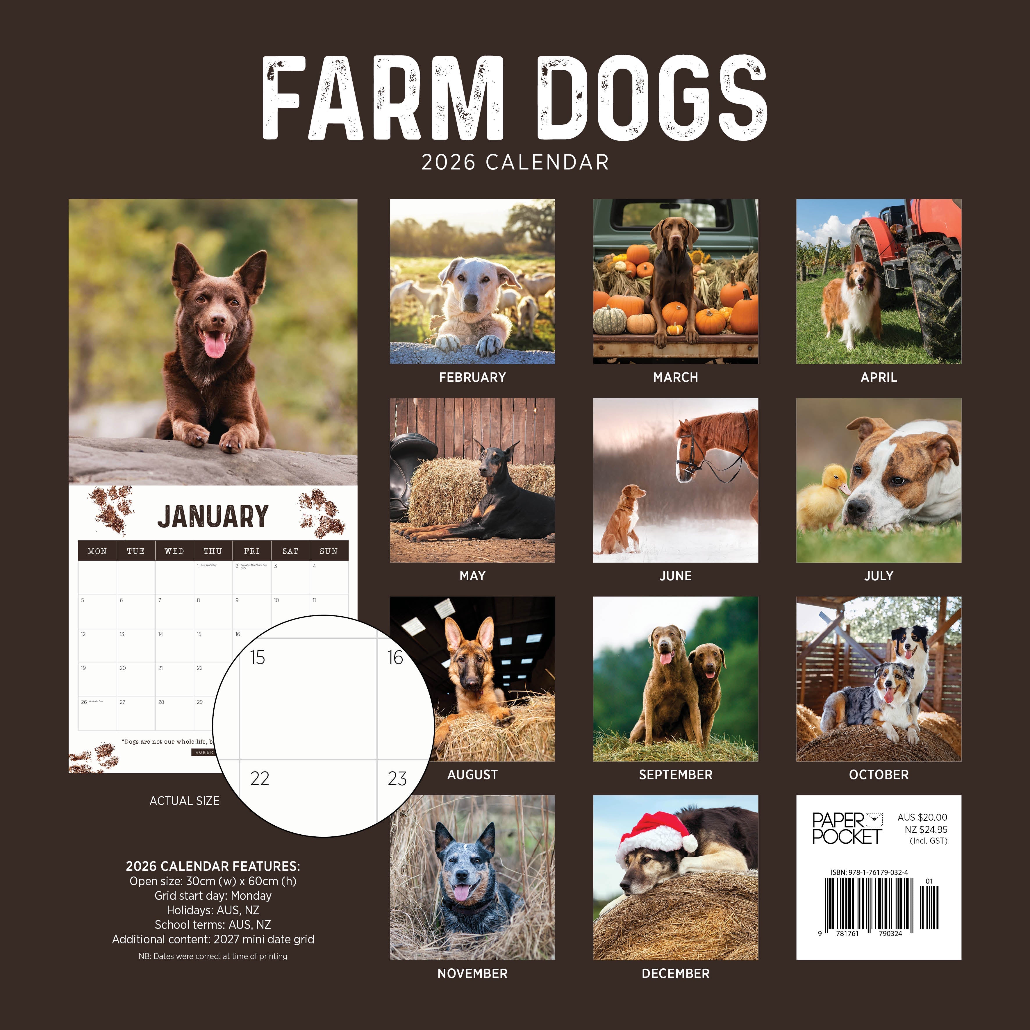 2026 Farm Dogs - Square Wall Calendar