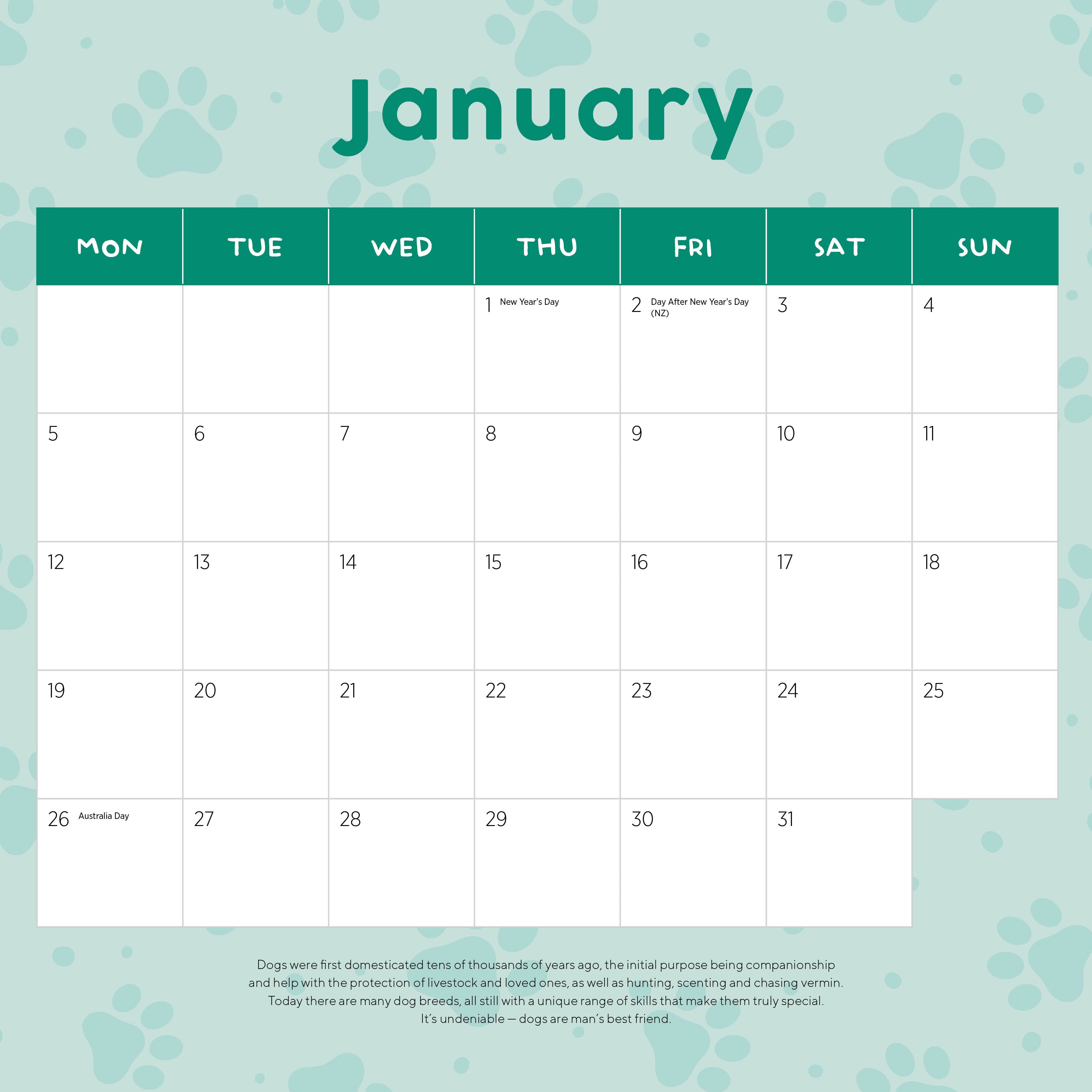 2026 French Bulldogs - Square Wall Calendar