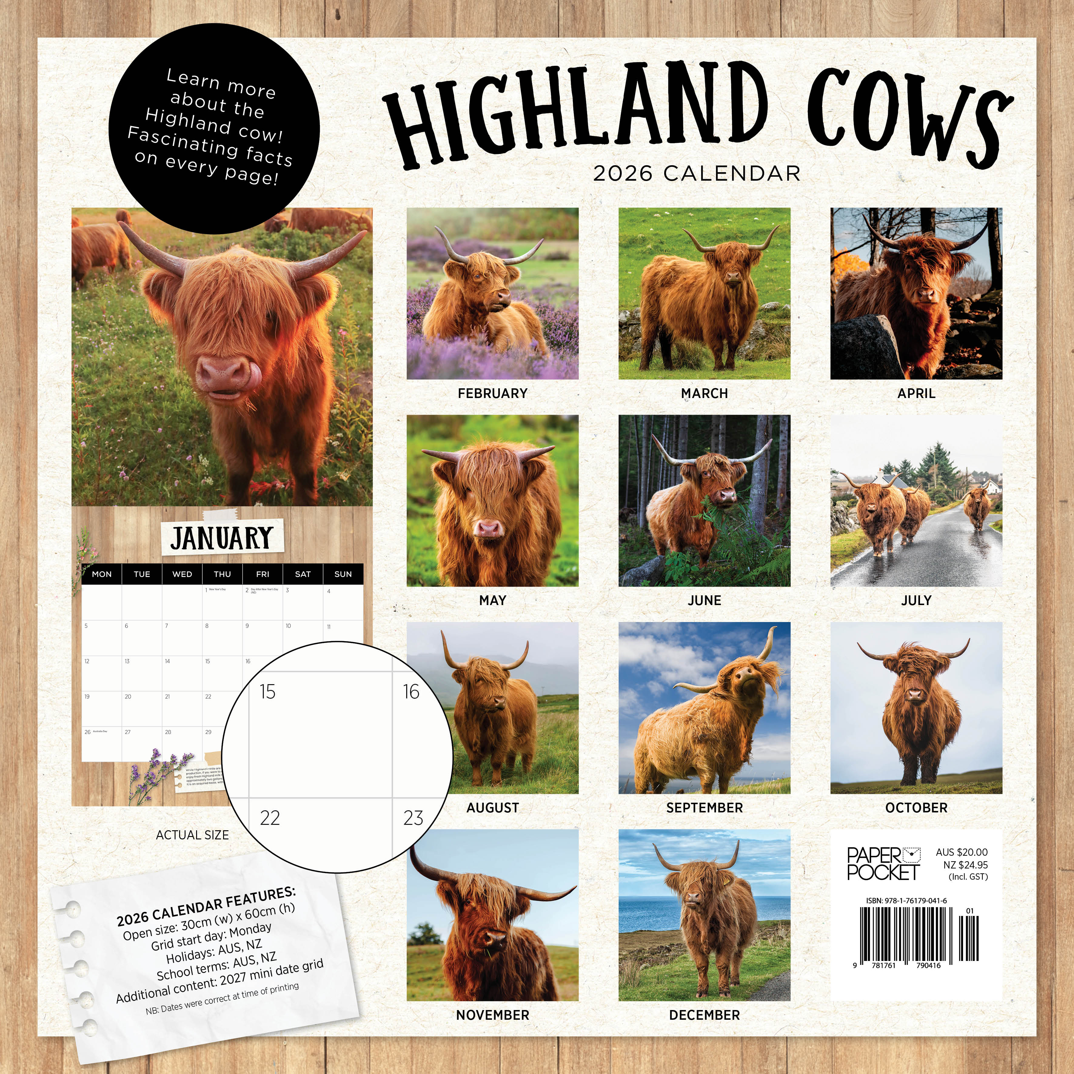 2026 Highland Cows - Square Wall Calendar