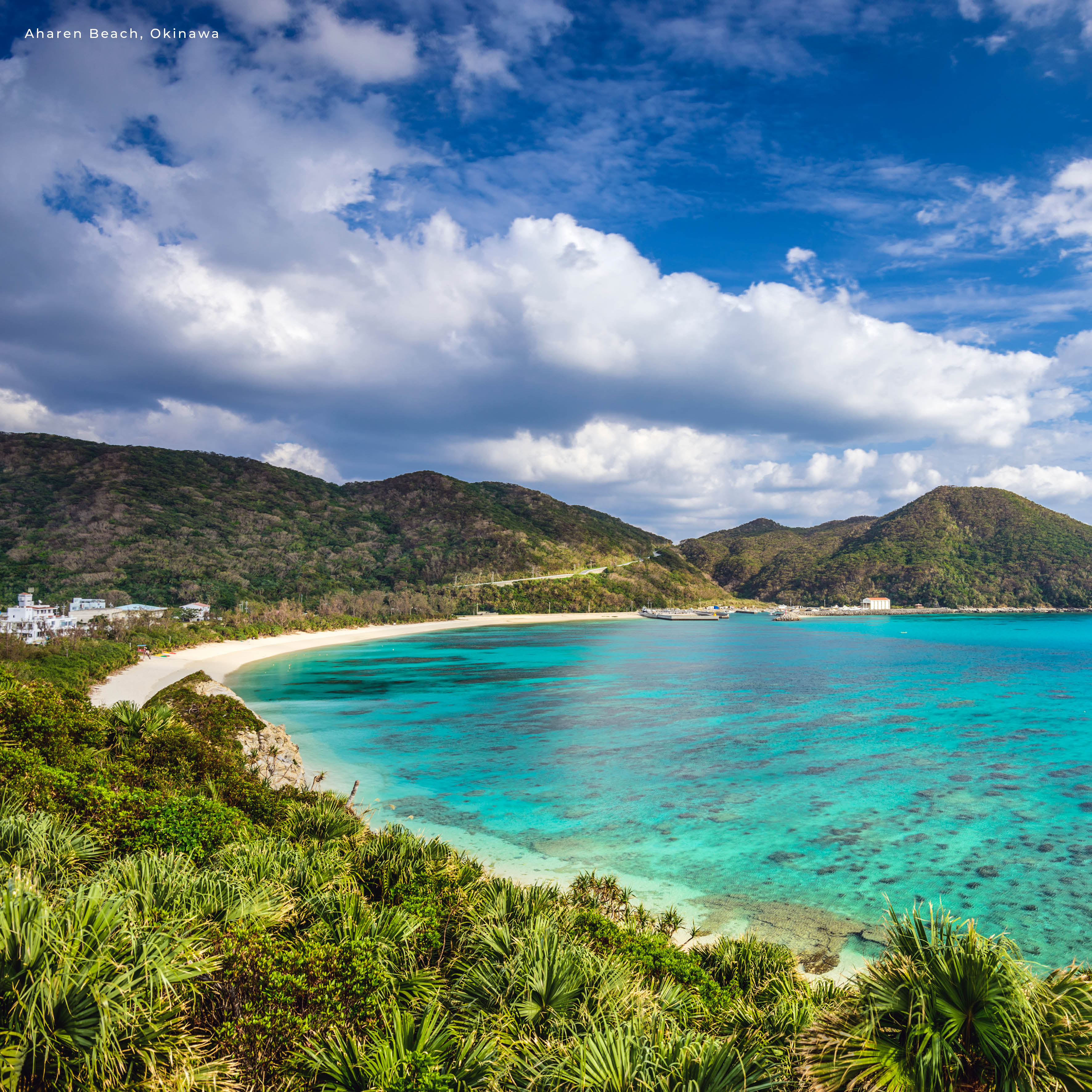 2026 Japan - Square Wall Calendar