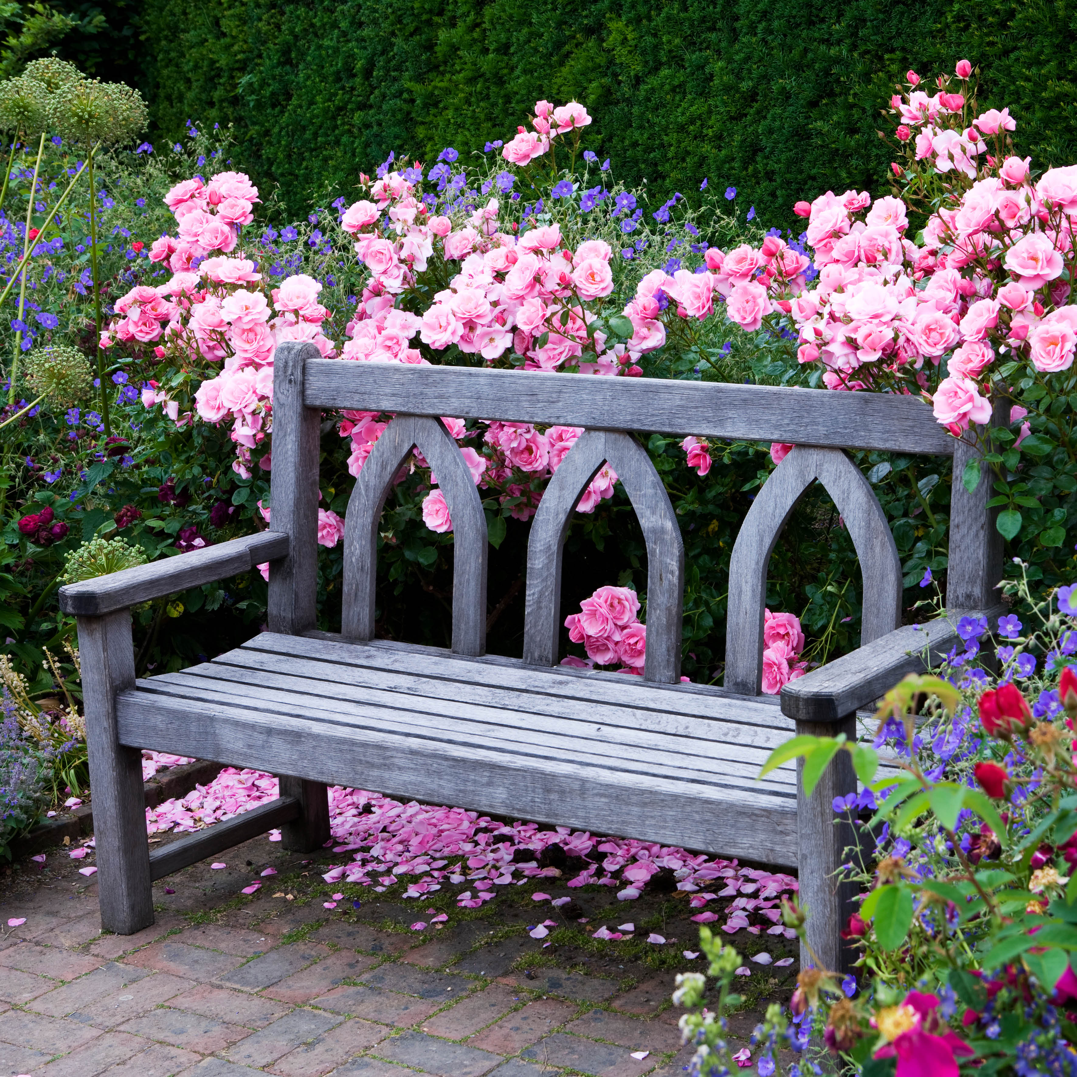 2026 Our Australia Life is a Garden - Square Wall Calendar