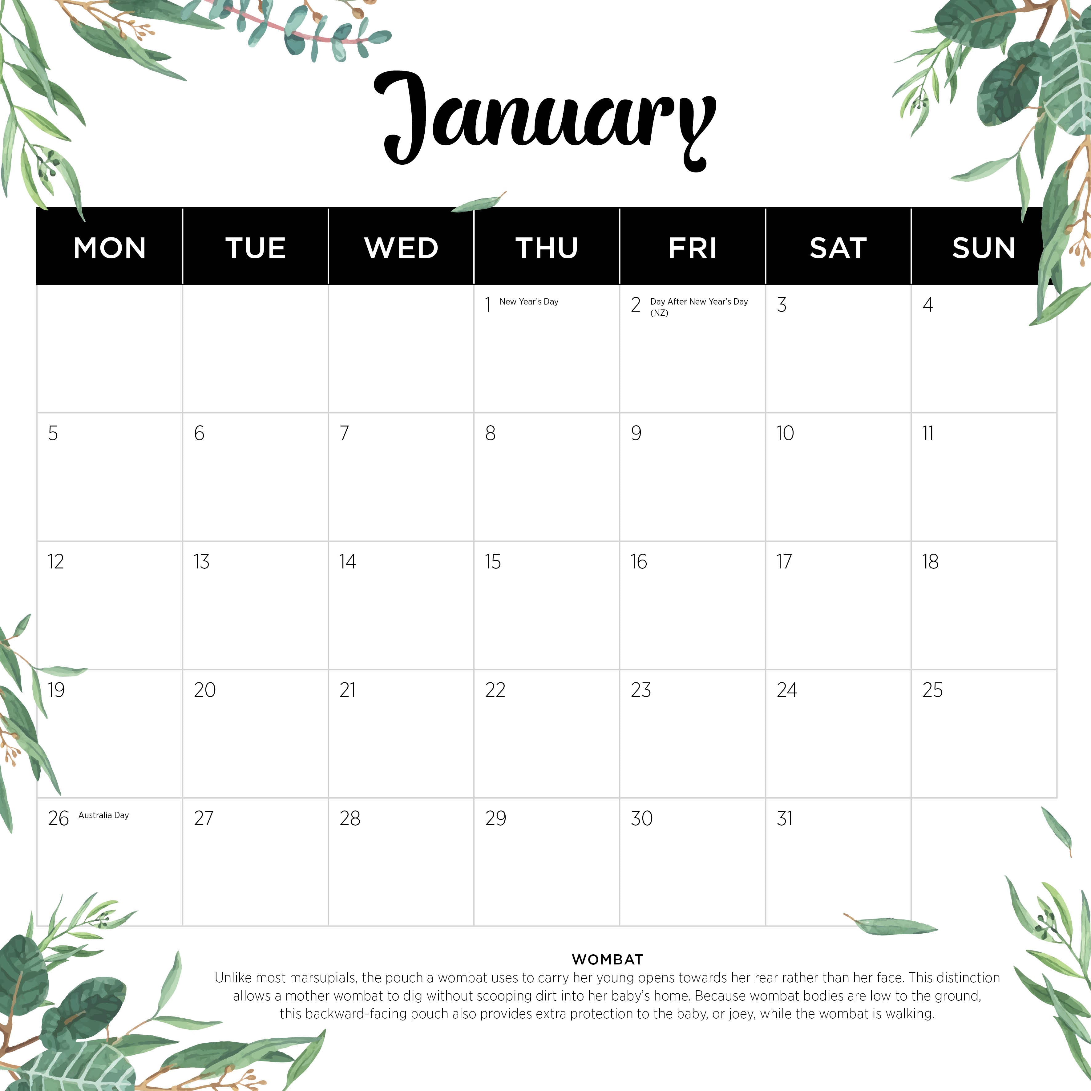 2026 Our Australia Native Animals - Square Wall Calendar