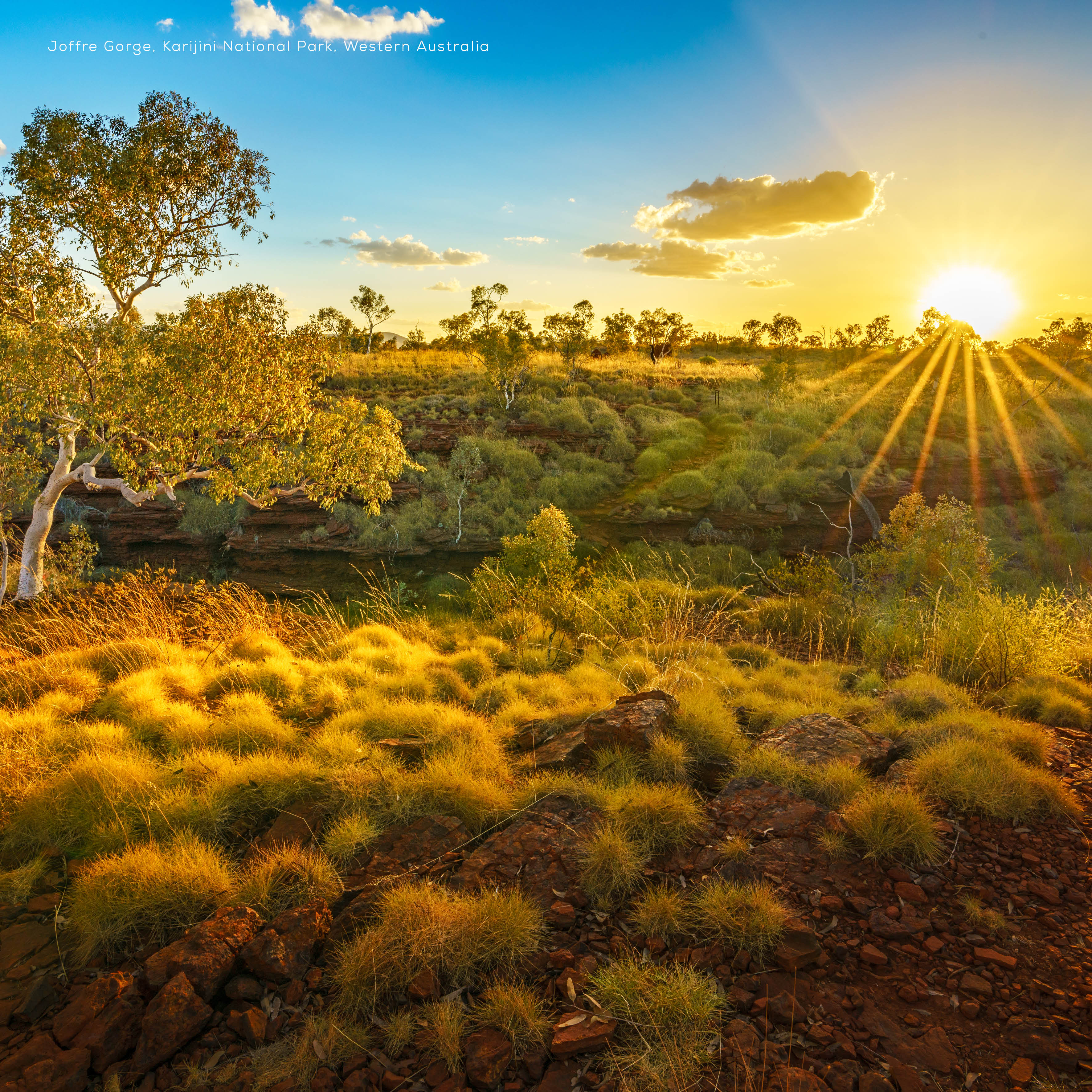 2026 Our Australia Sunsets - Square Wall Calendar