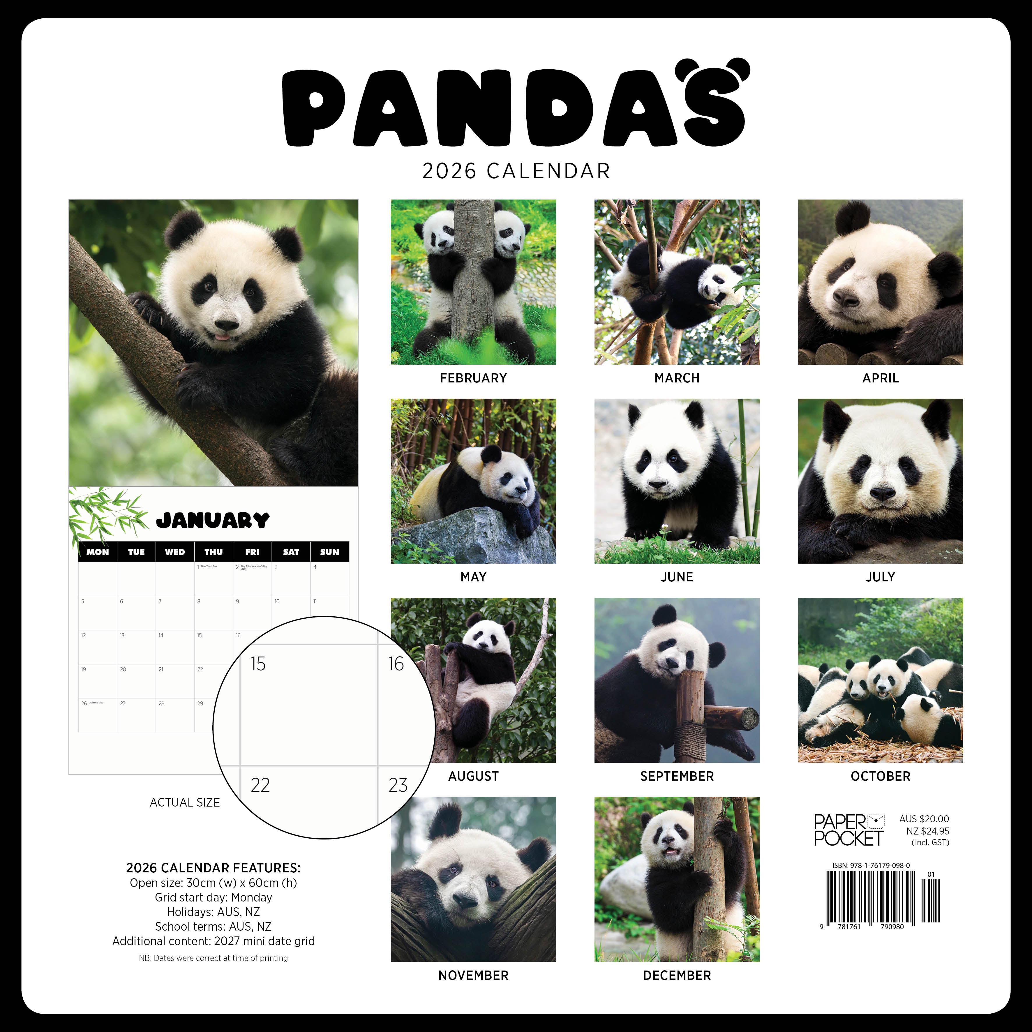 2026 Pandas - Square Wall Calendar