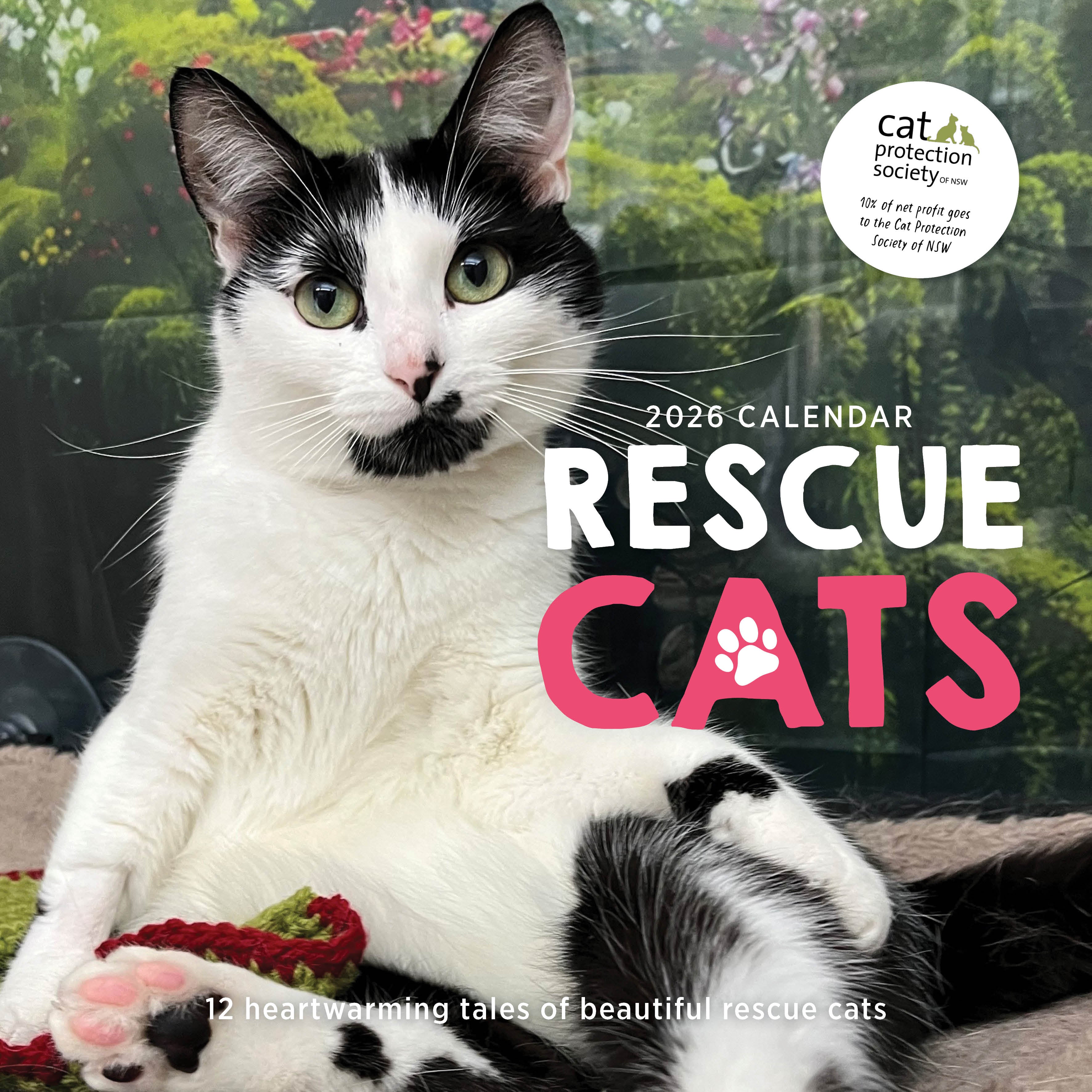 2026 Rescue Cats - Square Wall Calendar