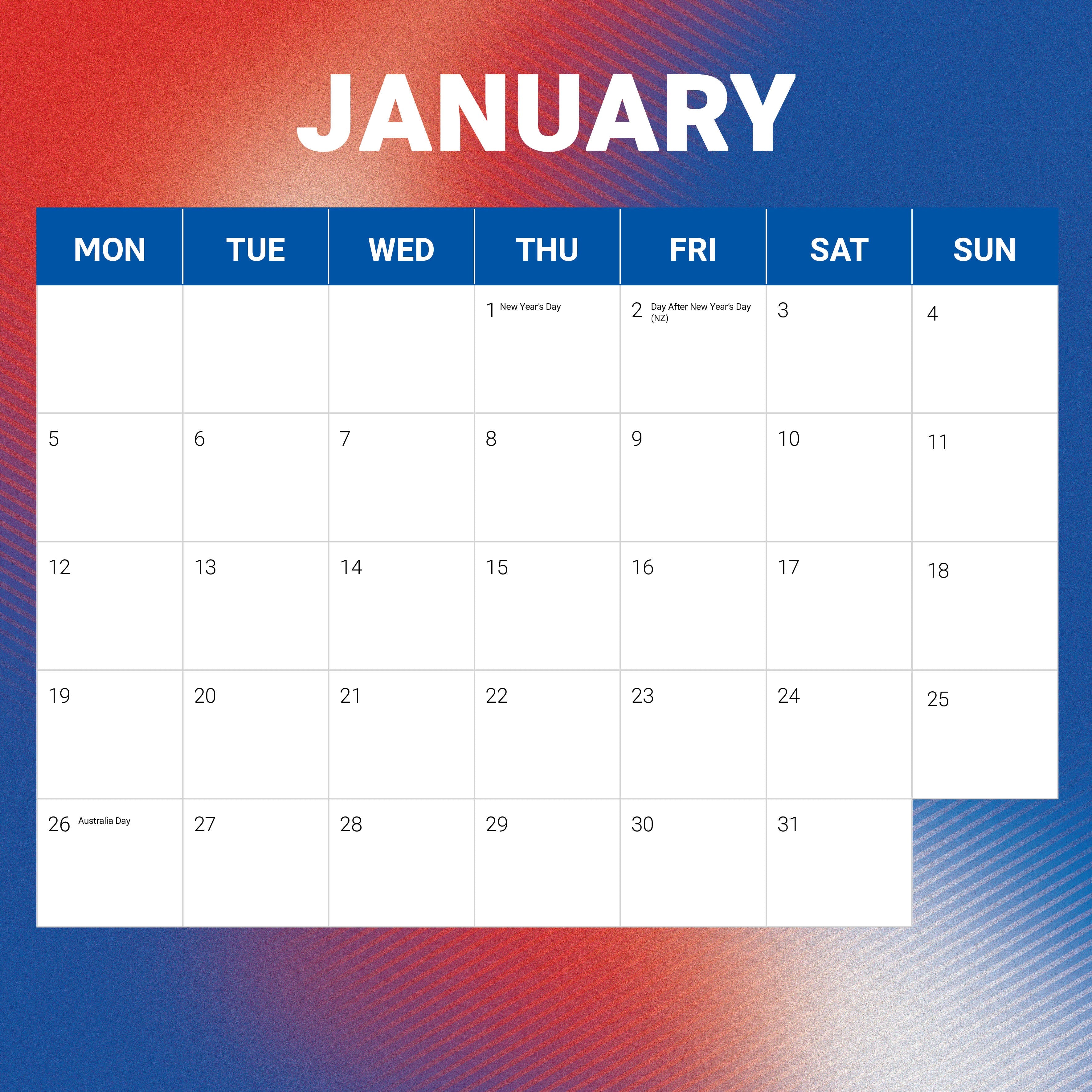 2026 NRL Newcastle Knights - Square Wall Calendar