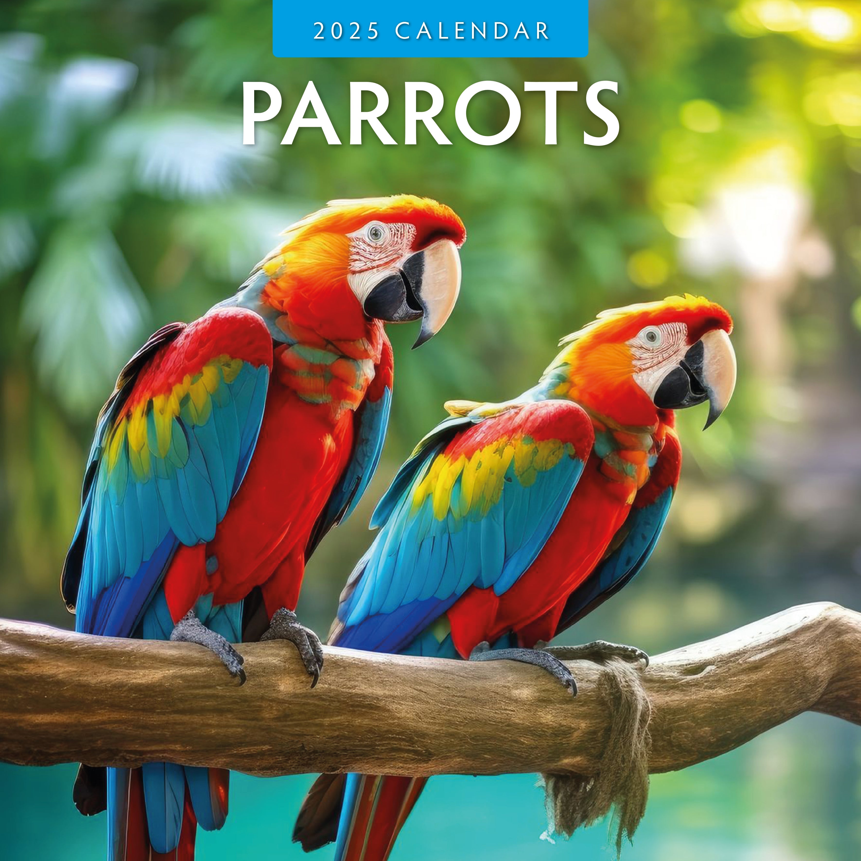 2025 Parrots Square Wall Calendar