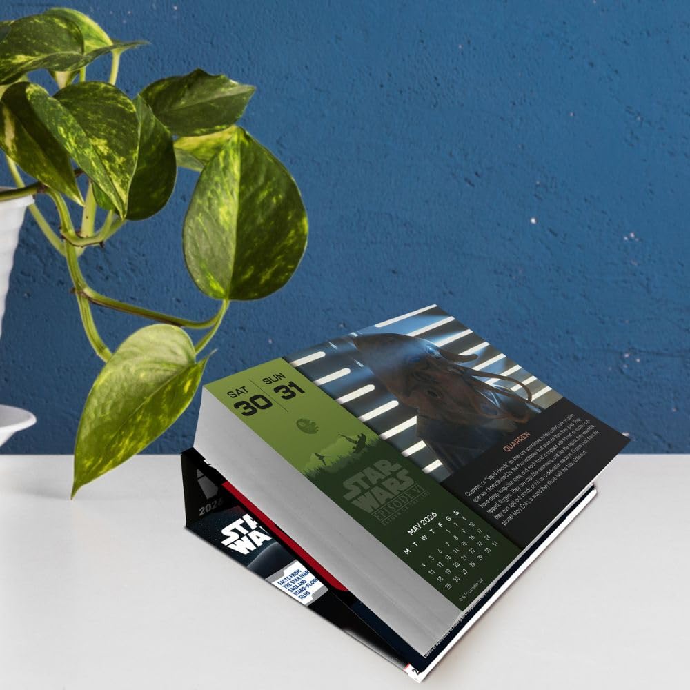 2026 Star Wars Classic - Daily Boxed Page-A-Day Calendar