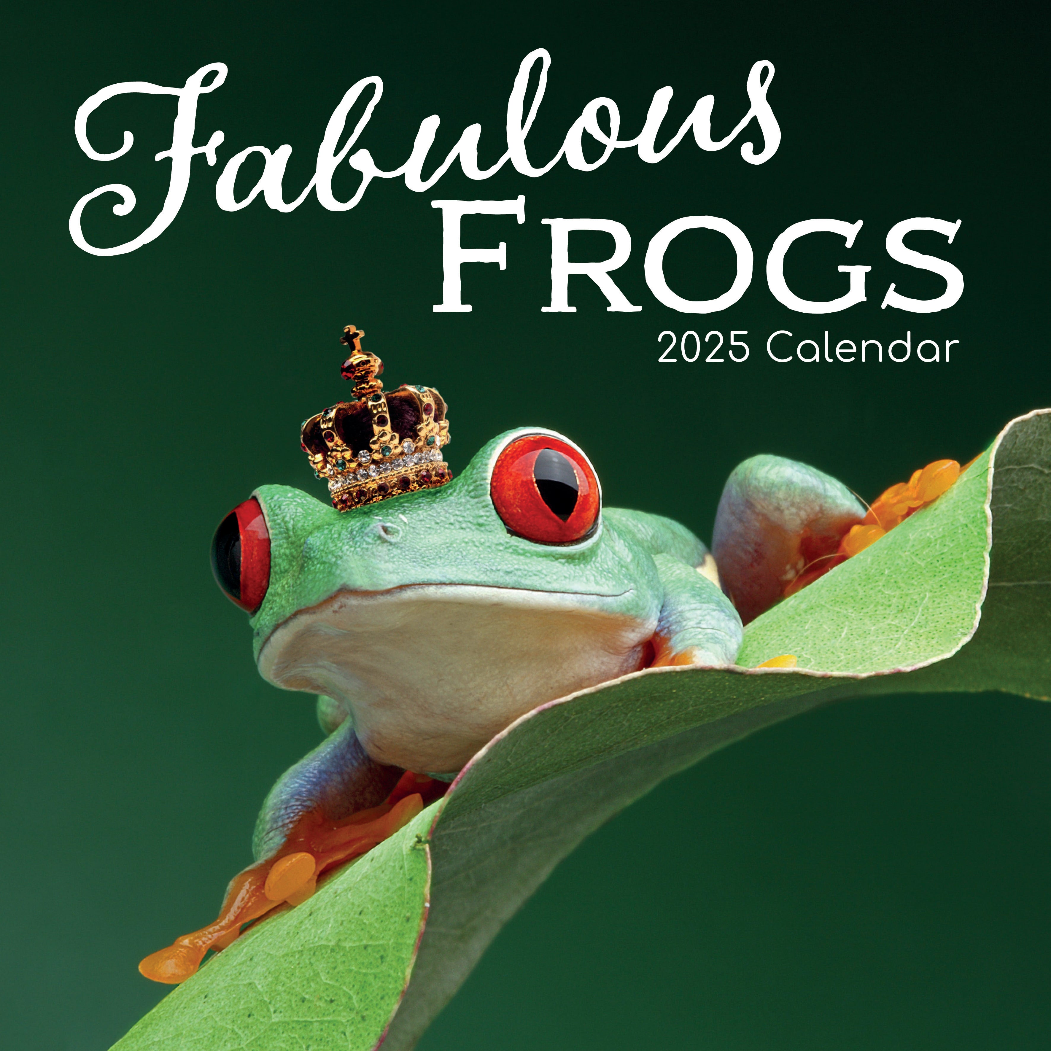 2025 Fabulous Frogs Square Wall Calendar