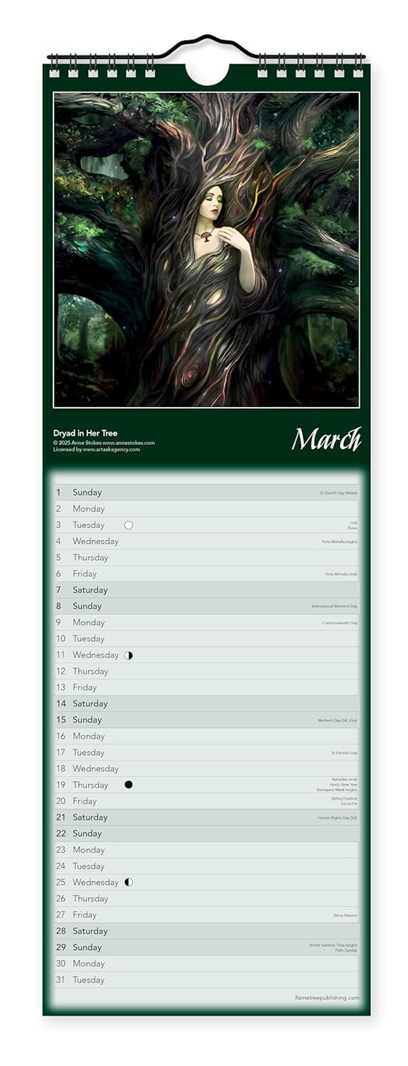 2026 Anne Stokes - Slim Wall Calendar