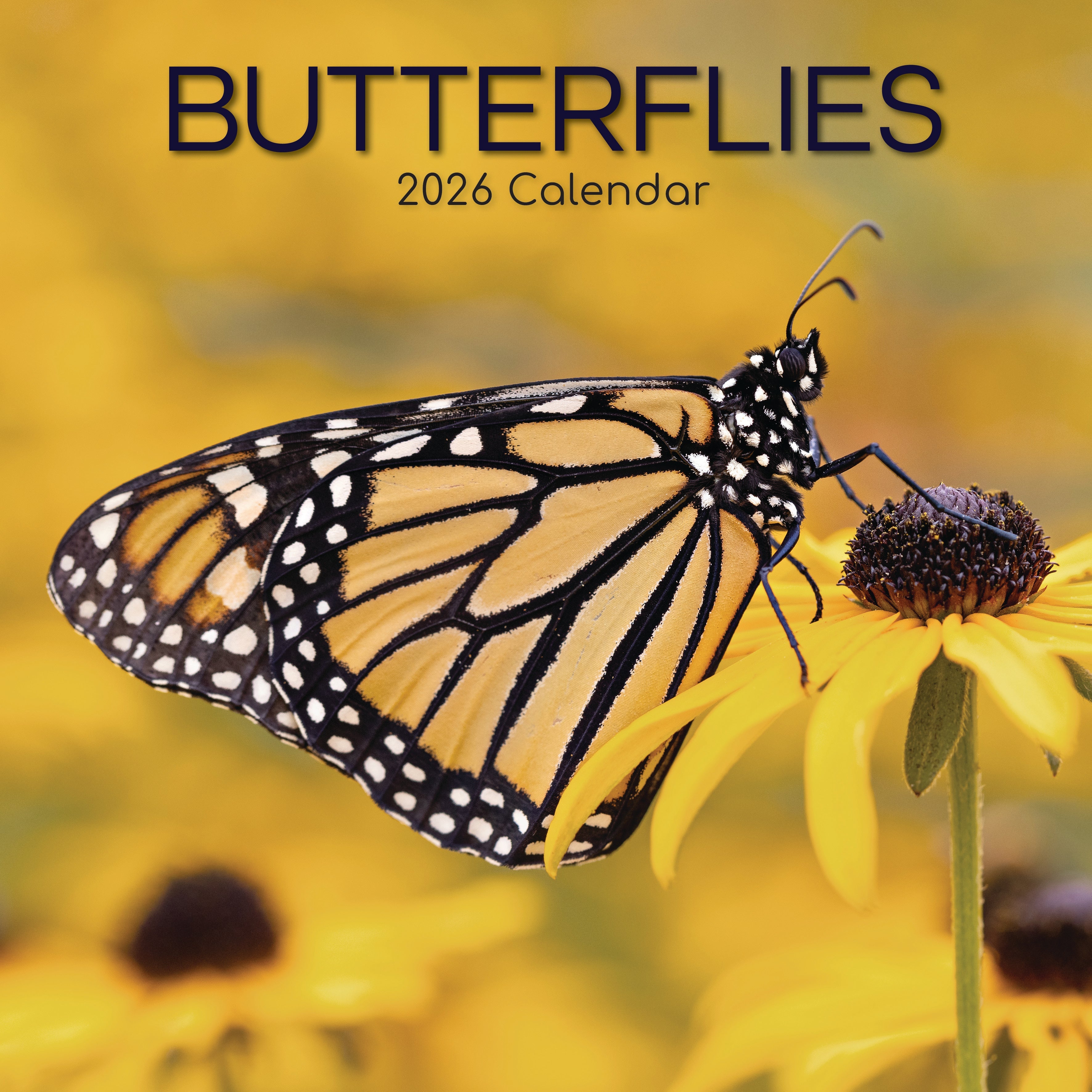 2026 Butterflies - Square Wall Calendar