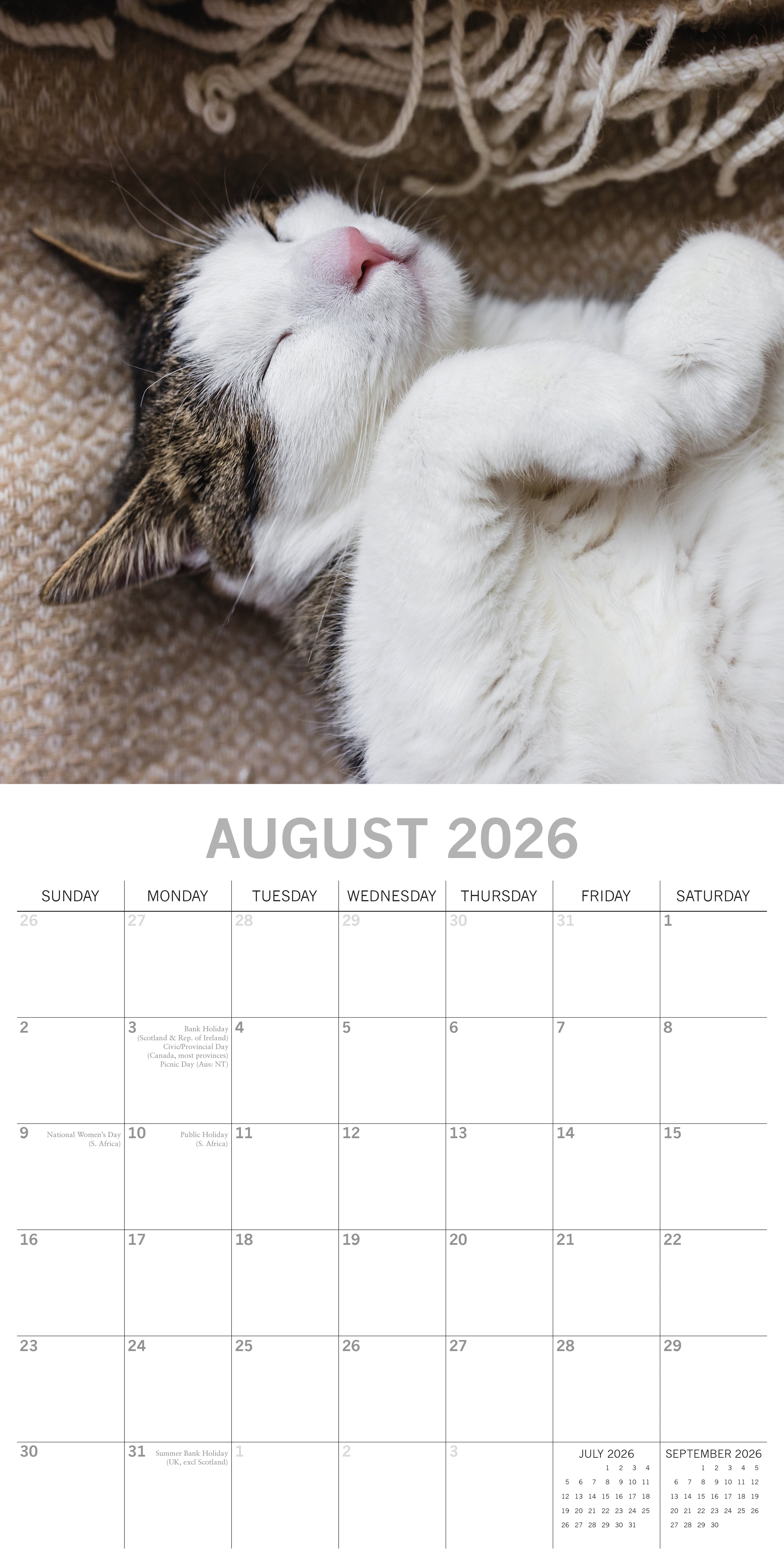 2026 Cat Naps - Square Wall Calendar