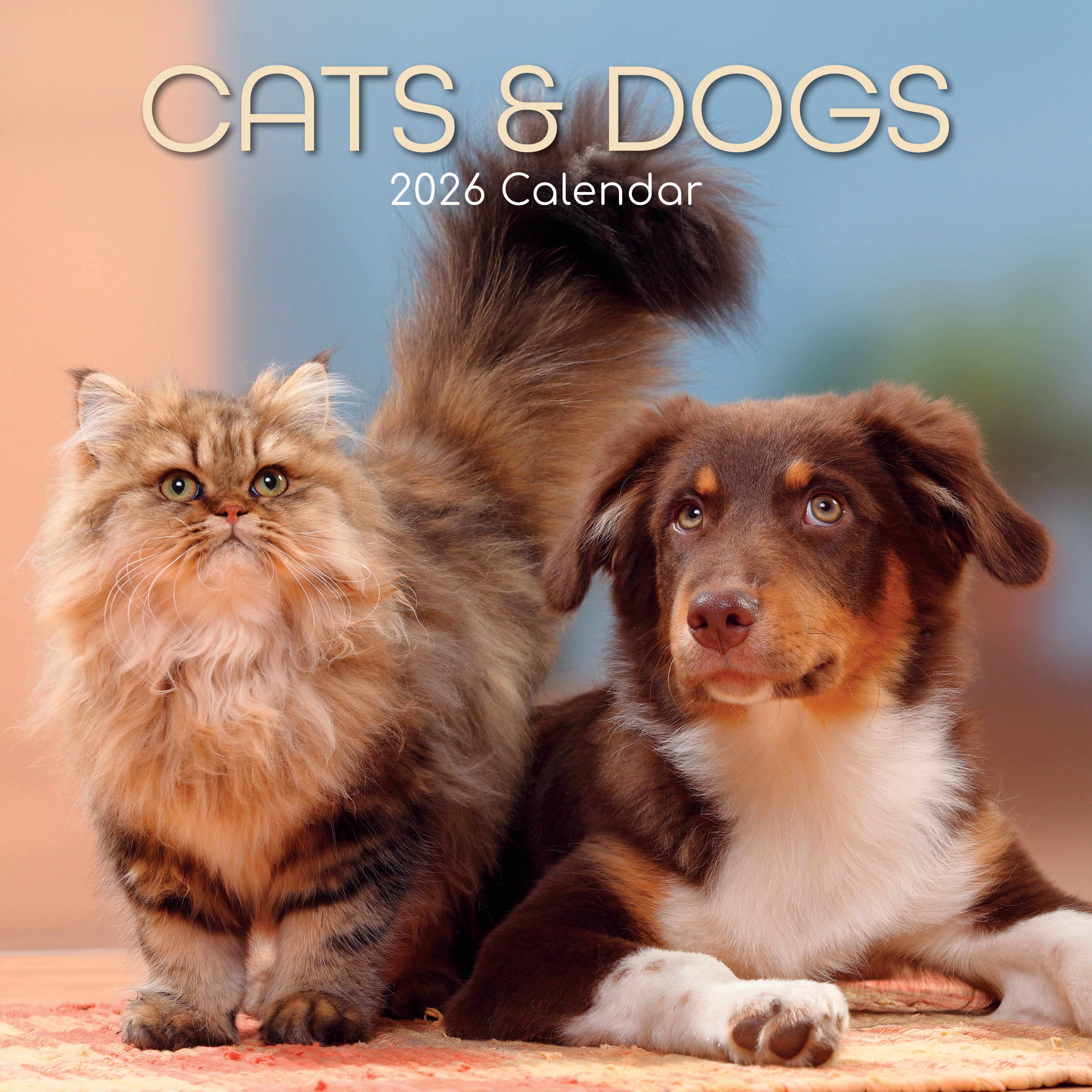 2026 Cats & Dogs - Square Wall Calendar