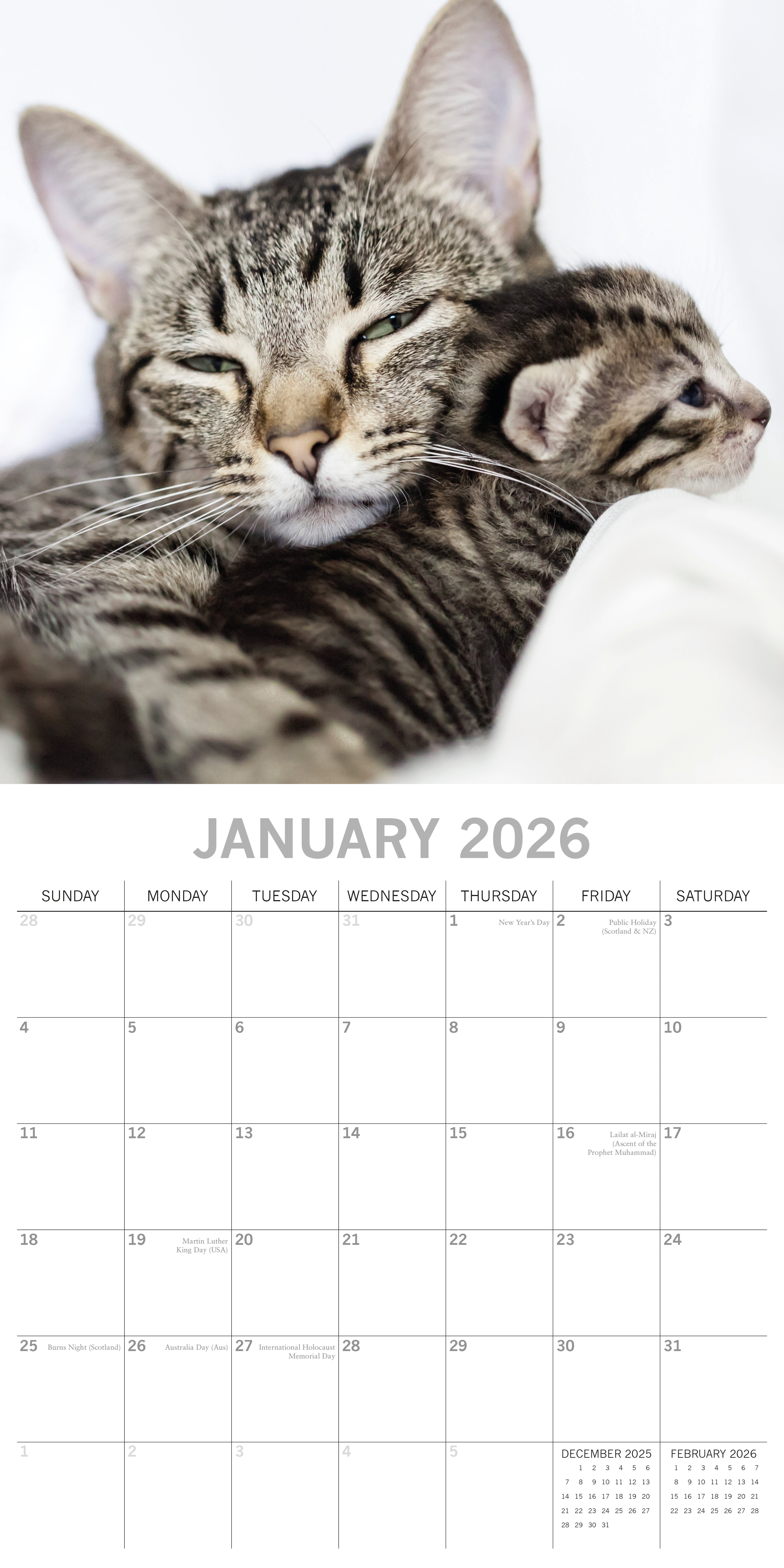 2026 Cats & Kittens - Square Wall Calendar